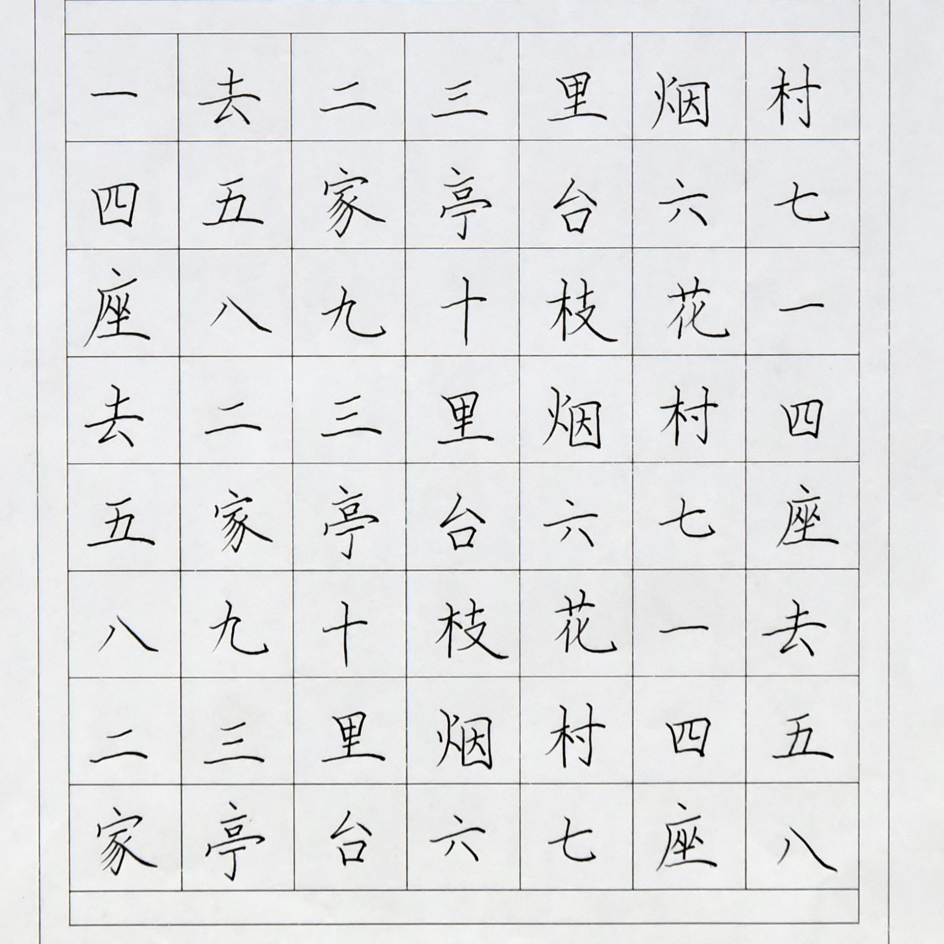 姓名：孙羽辰