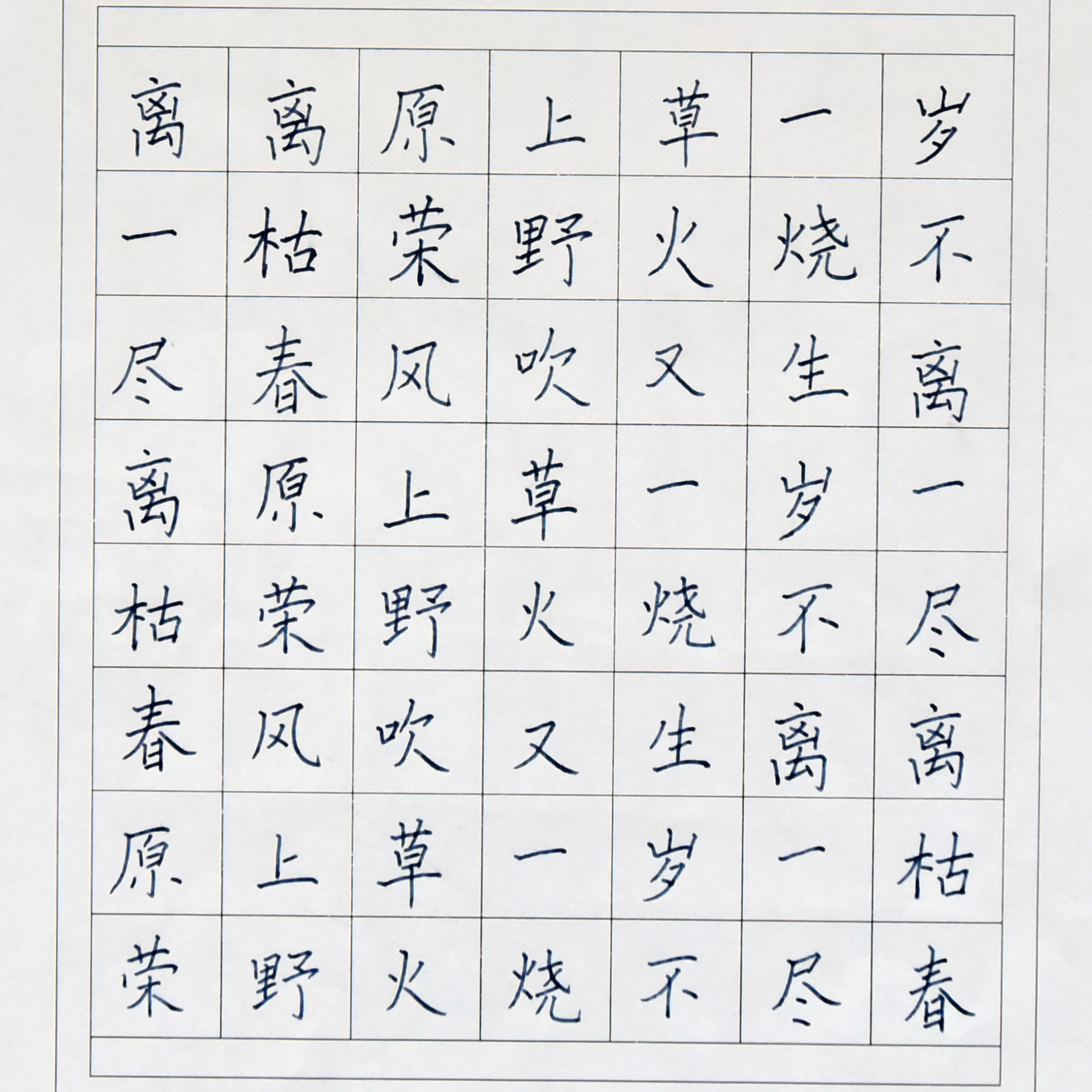 姓名：闫浩瑄