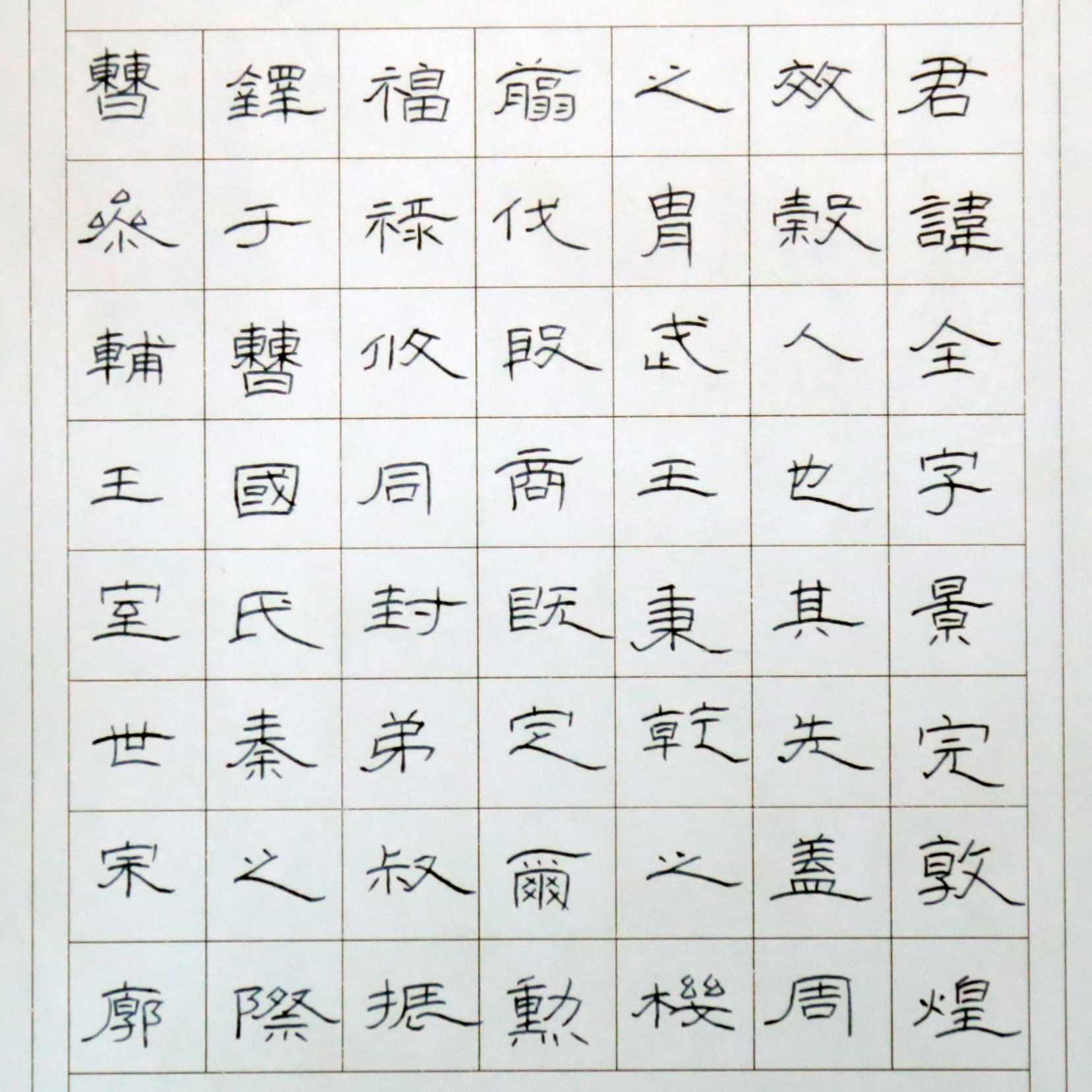 姓名：胡新哲 