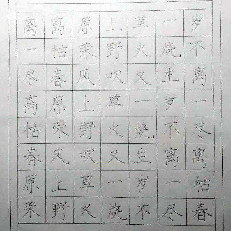 姓名：马婧宸