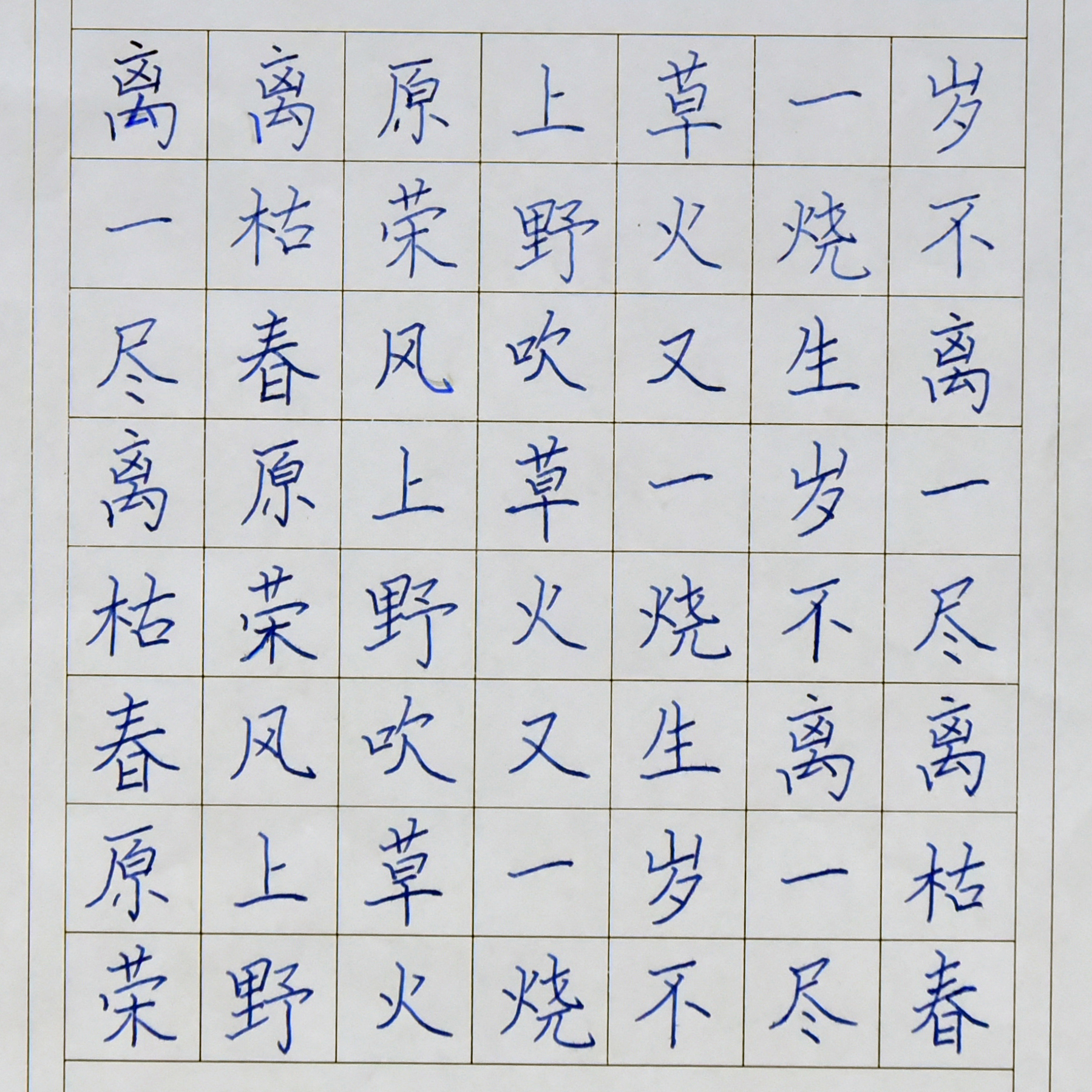 姓名：董政