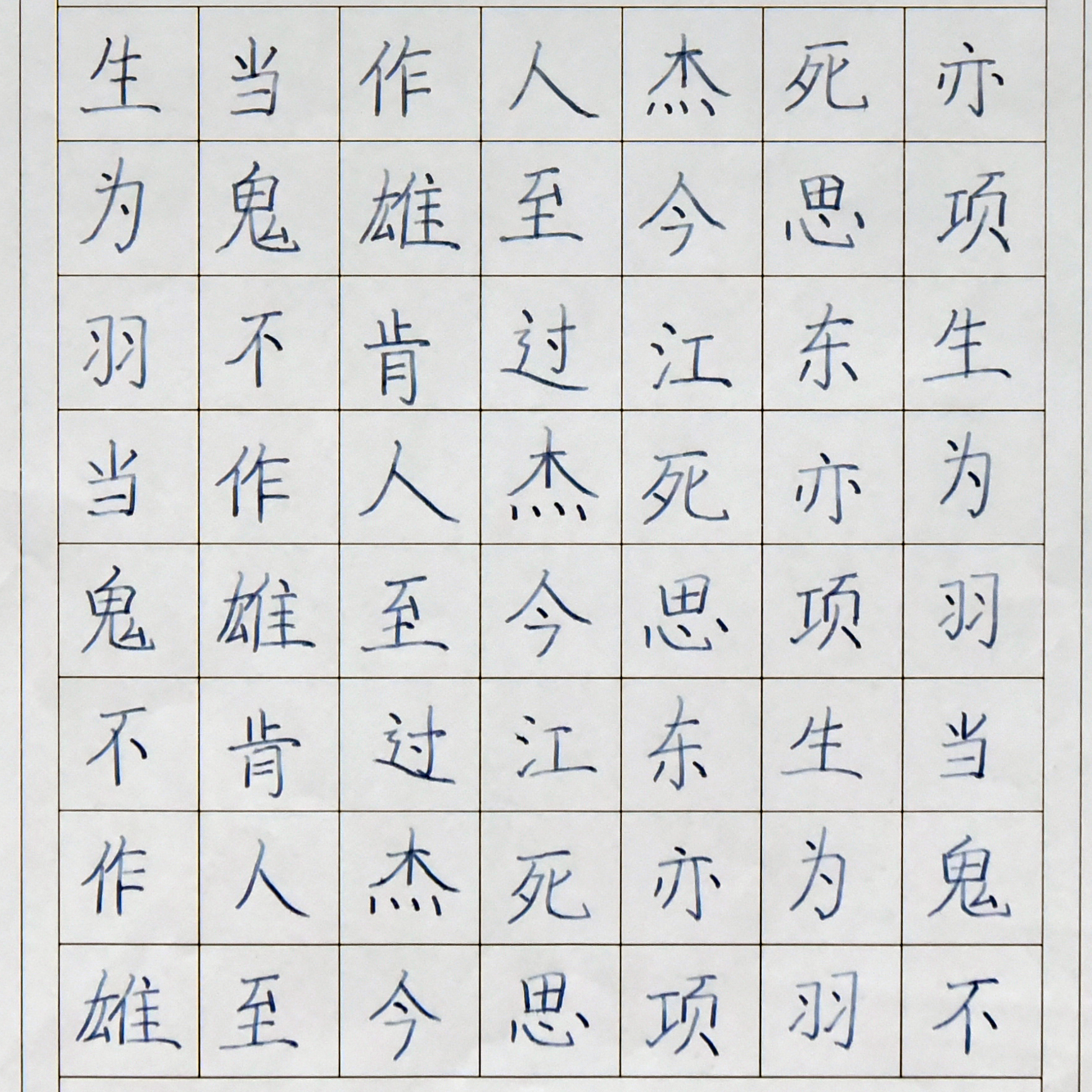姓名：李欣欣