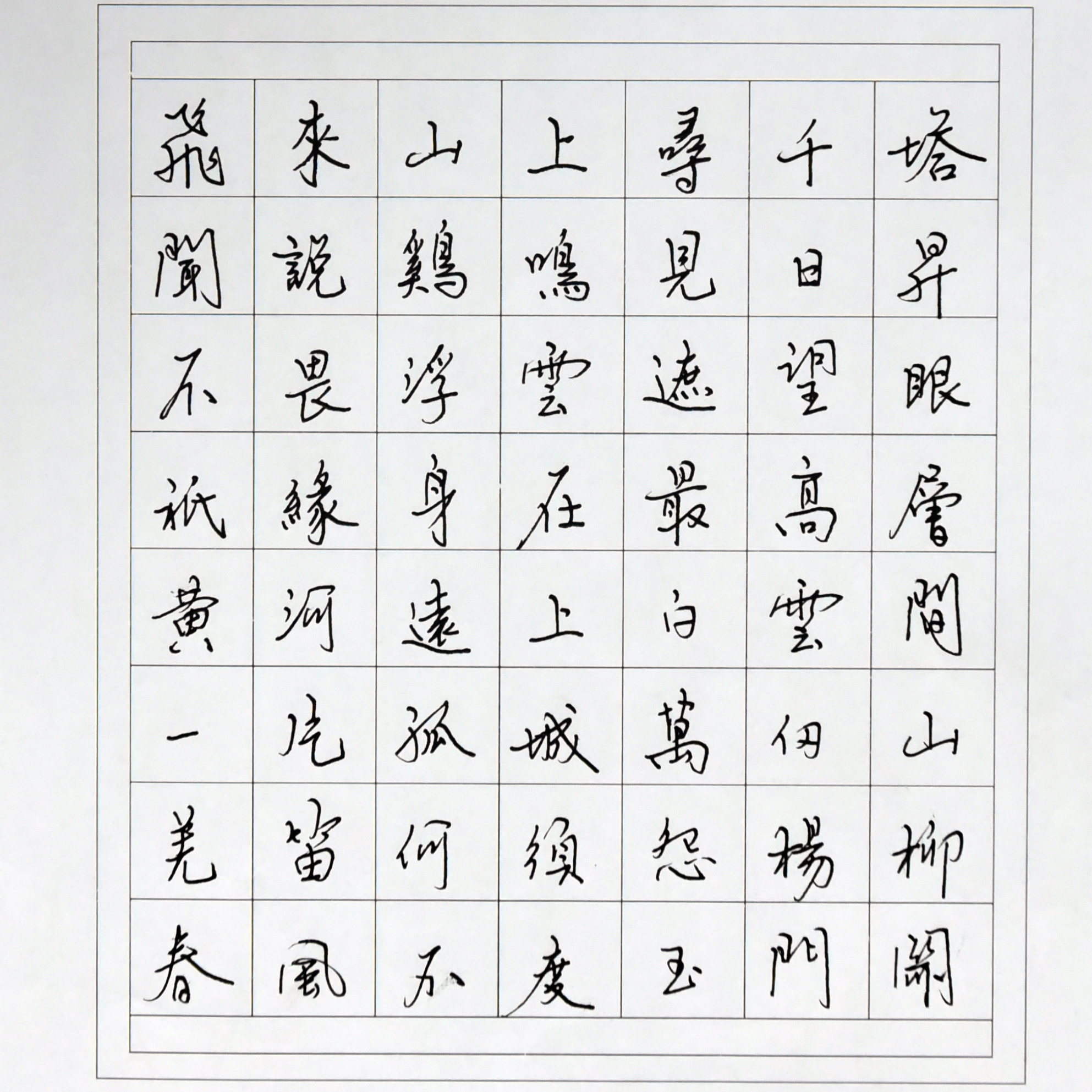 姓名：陆洋