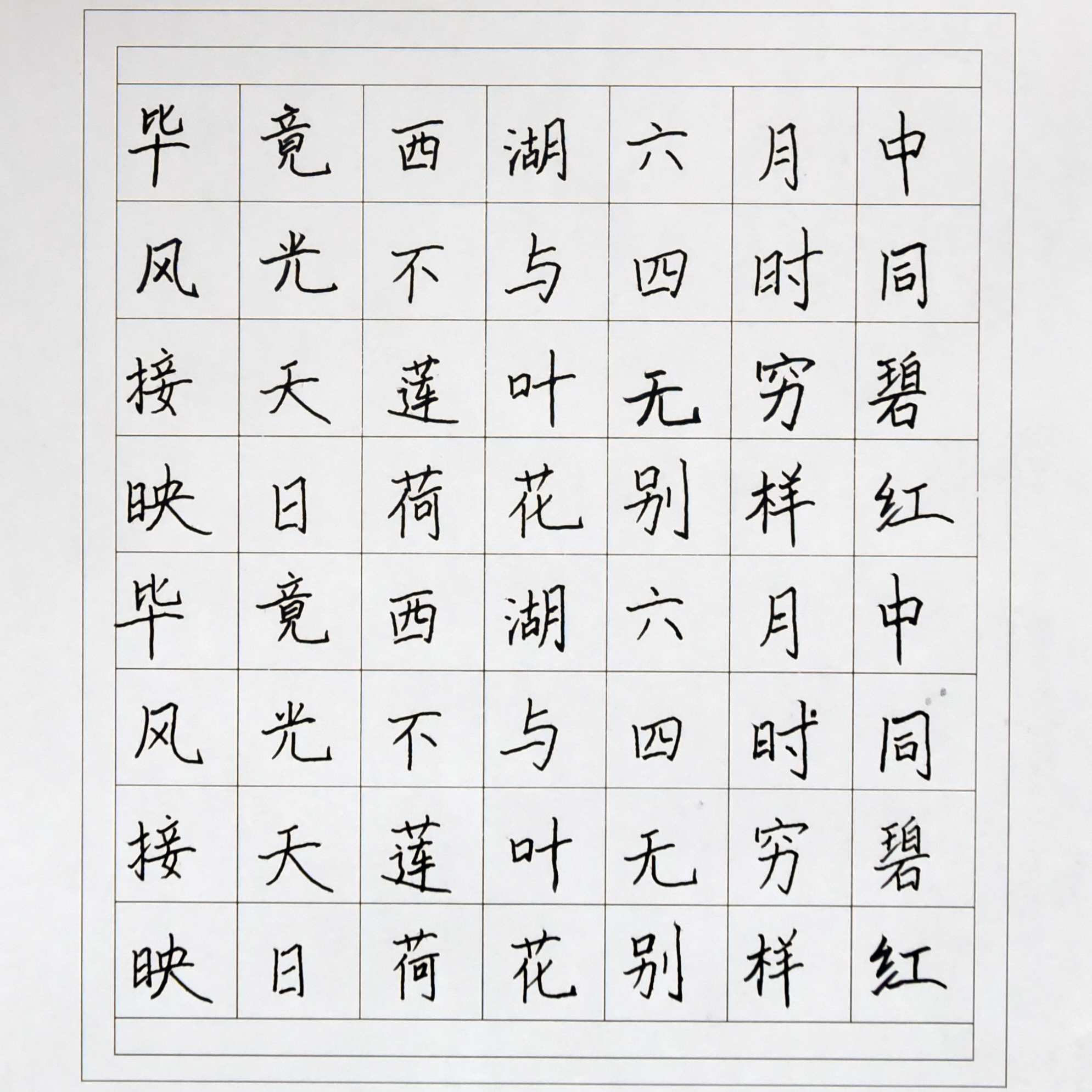 姓名：苏艳阳