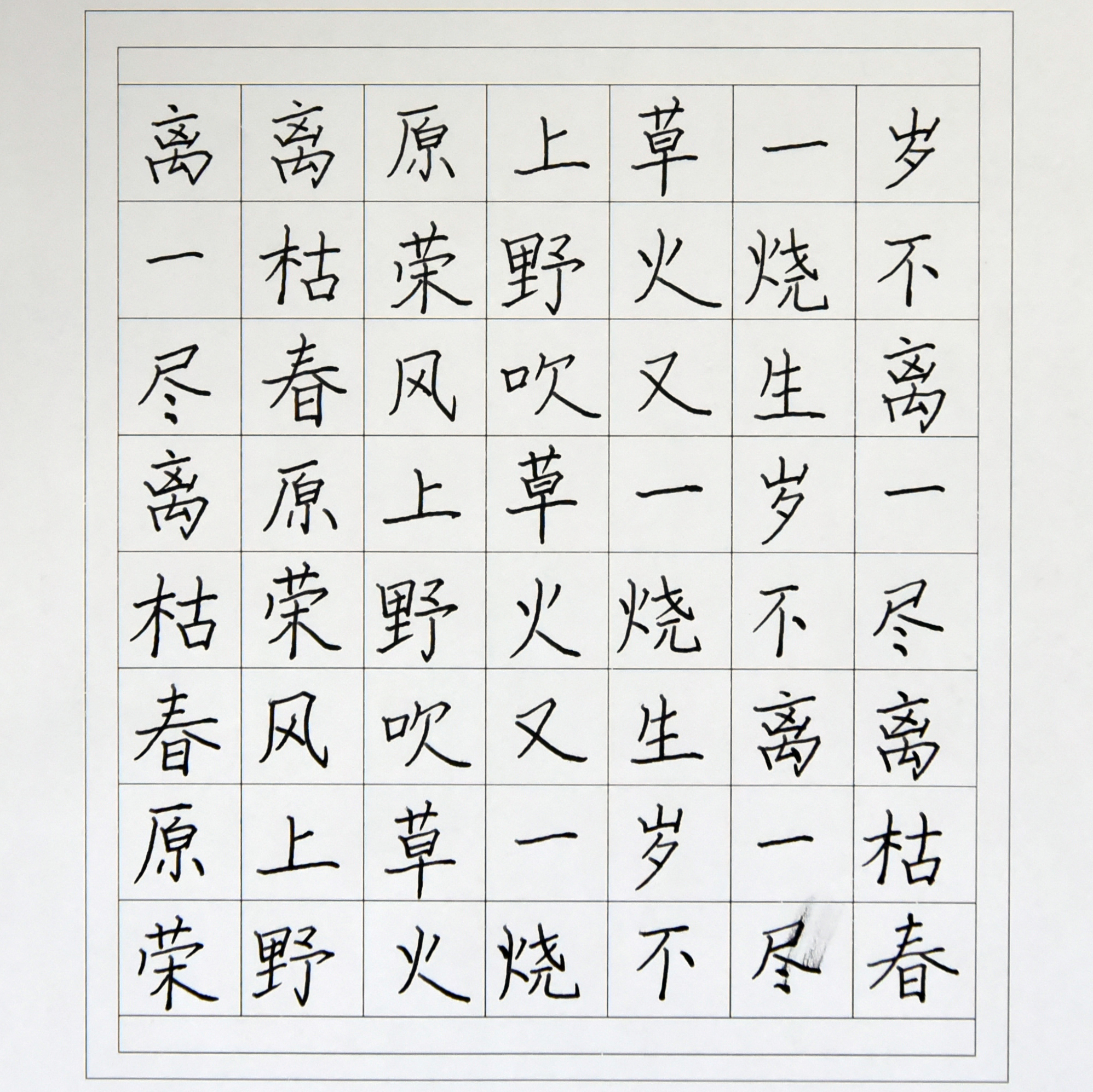 姓名：陈艳丽