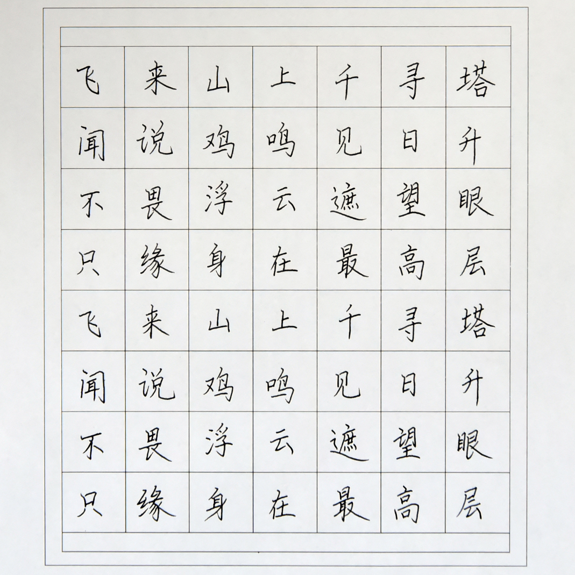 姓名：王莉