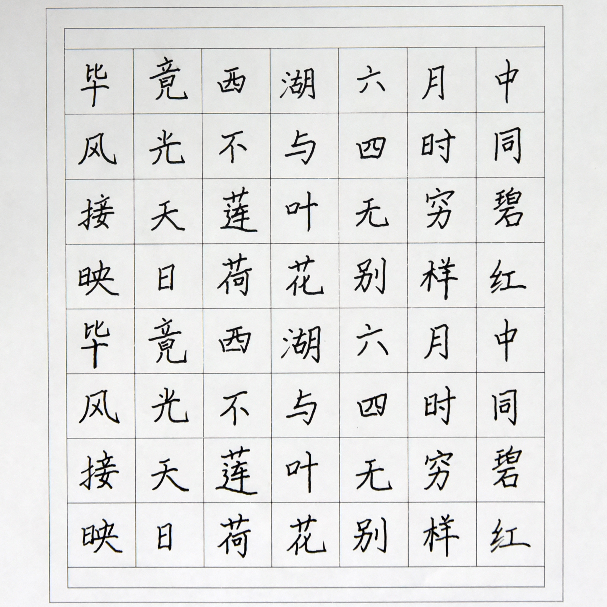 姓名：杨琳