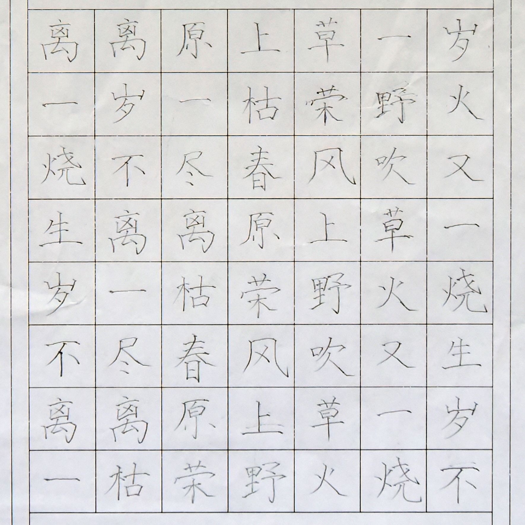 姓名：王一冰