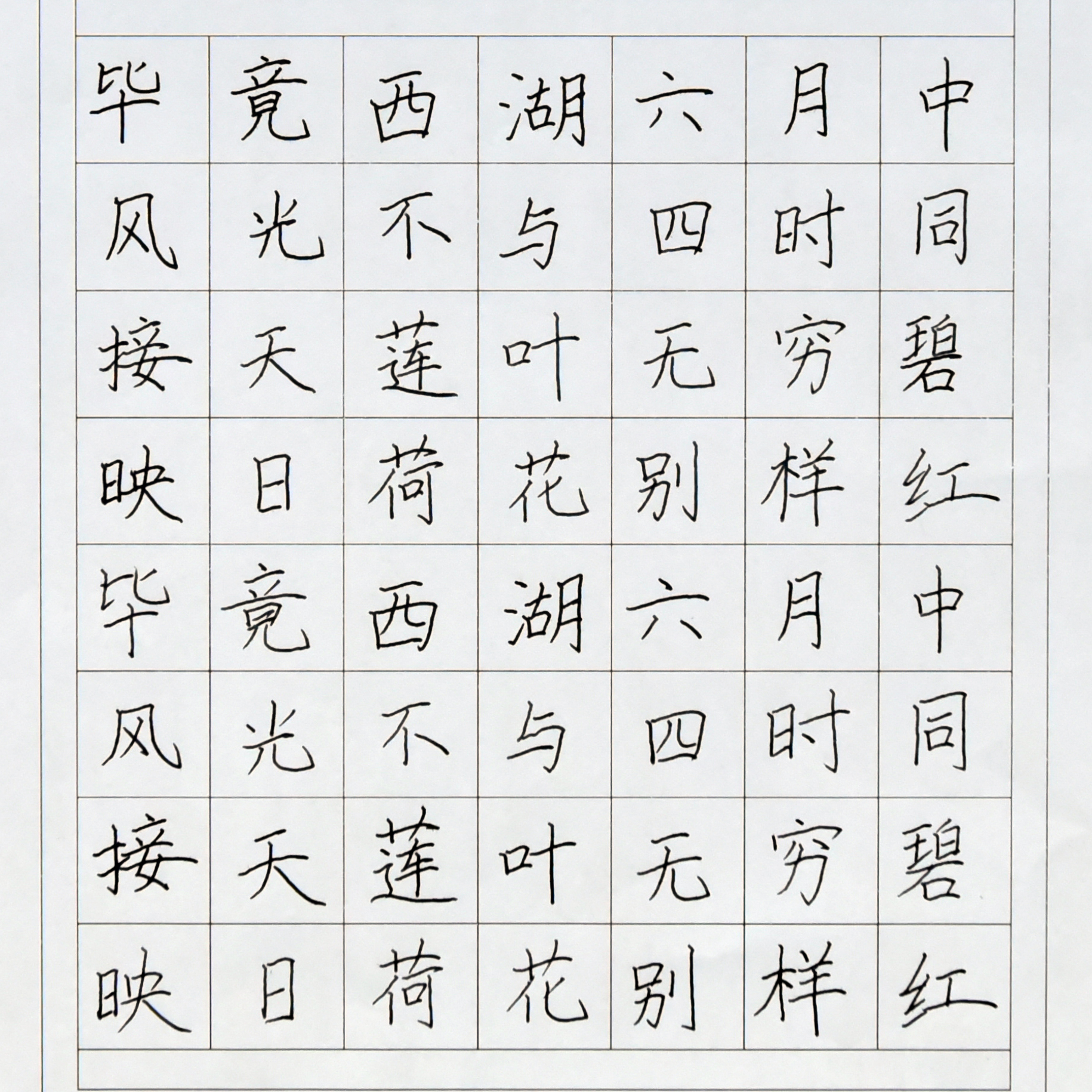 姓名：张萌