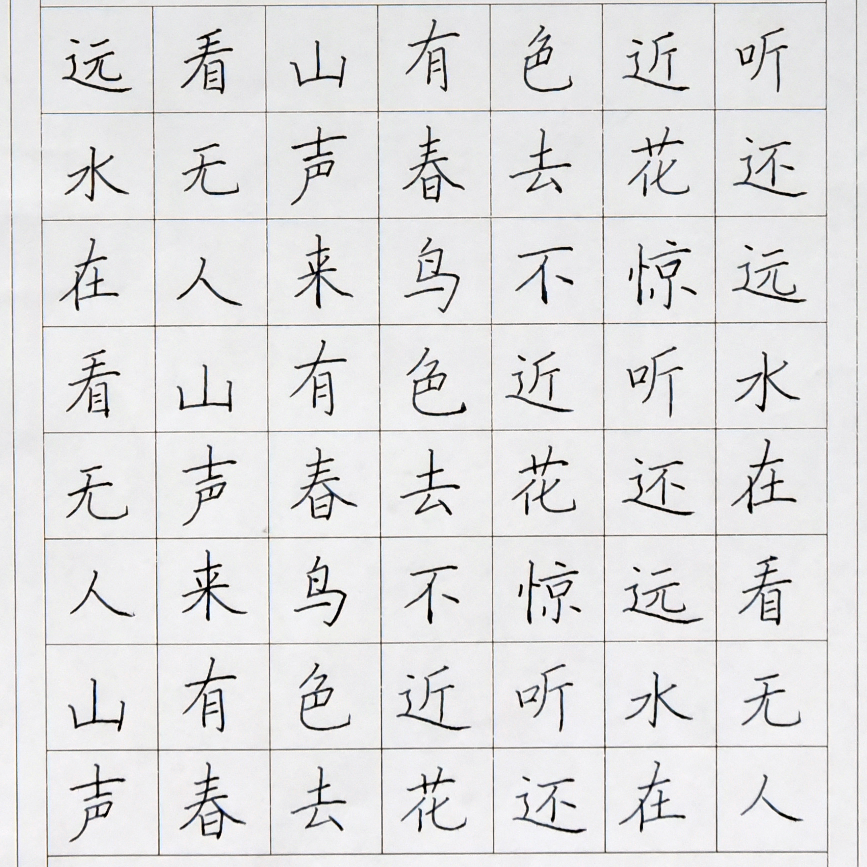 姓名：王晨旭