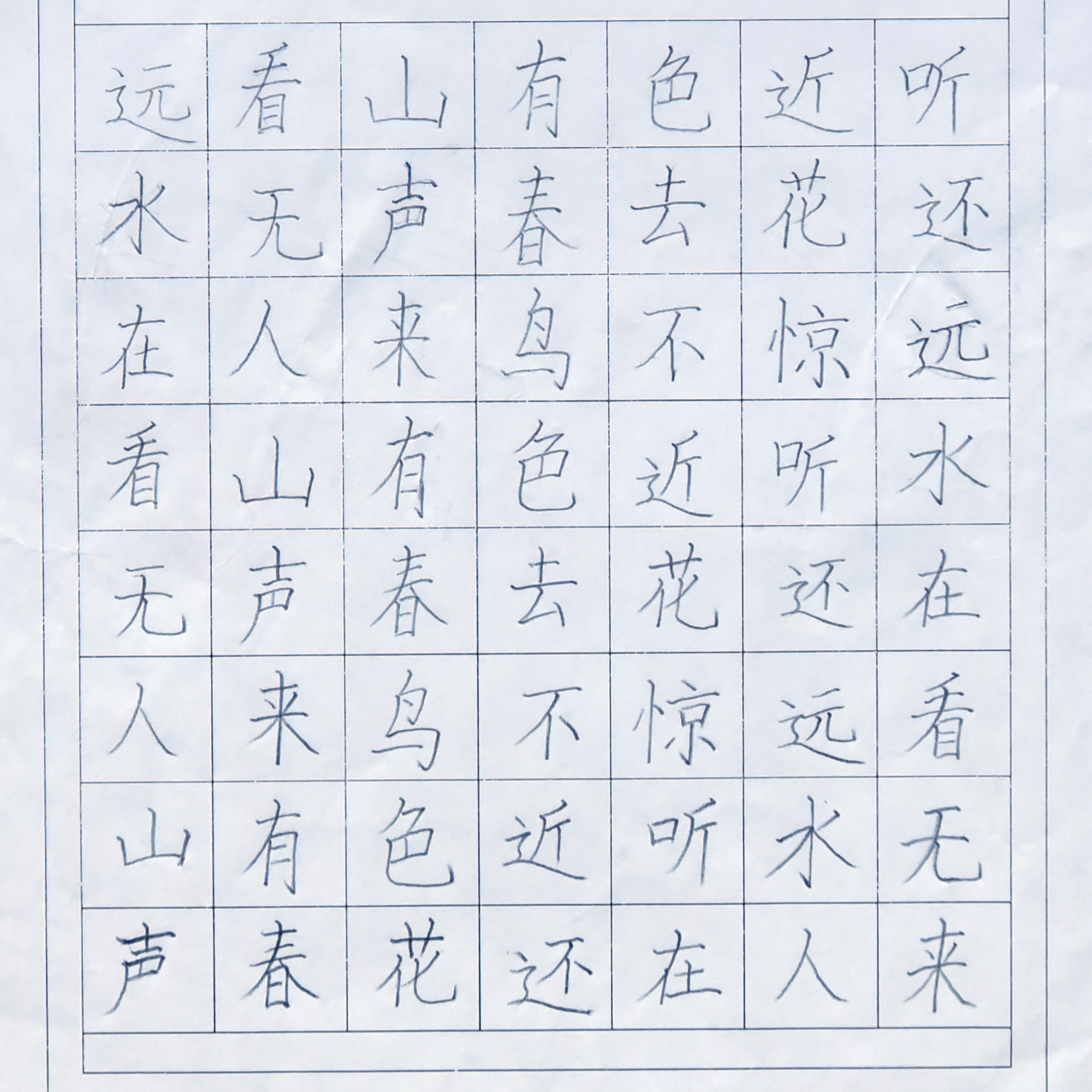 姓名：鞠昀诺