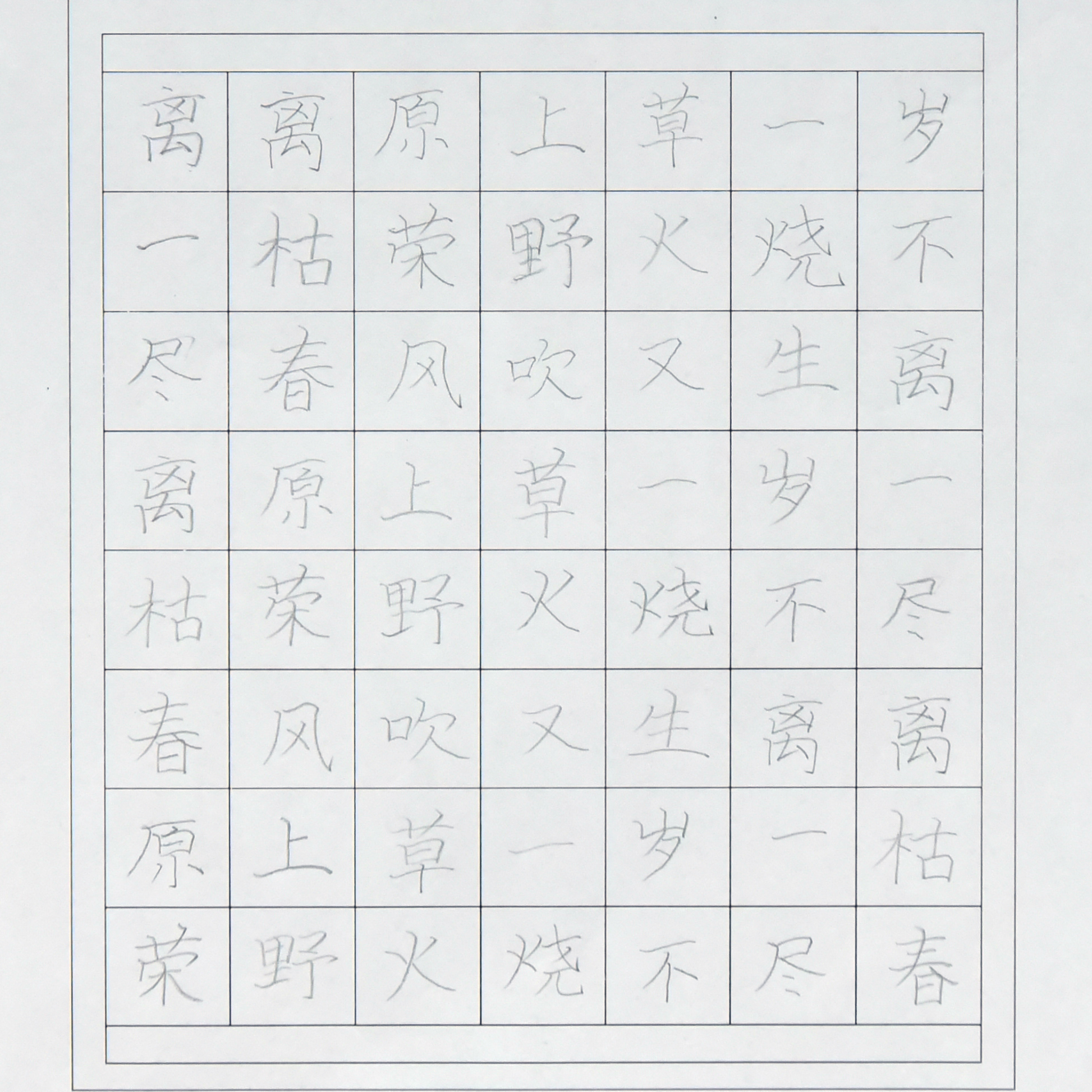姓名：刘怡彤