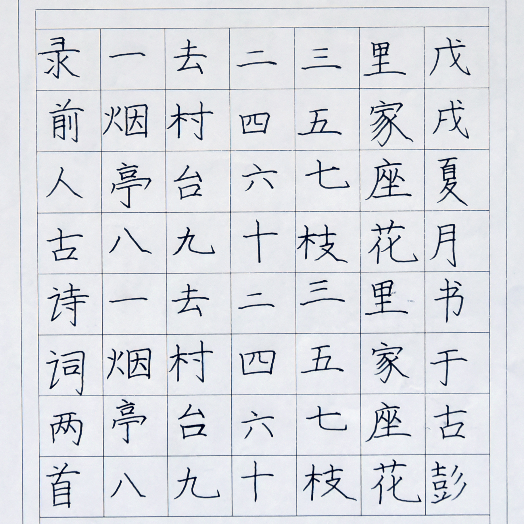 姓名：张梦琪