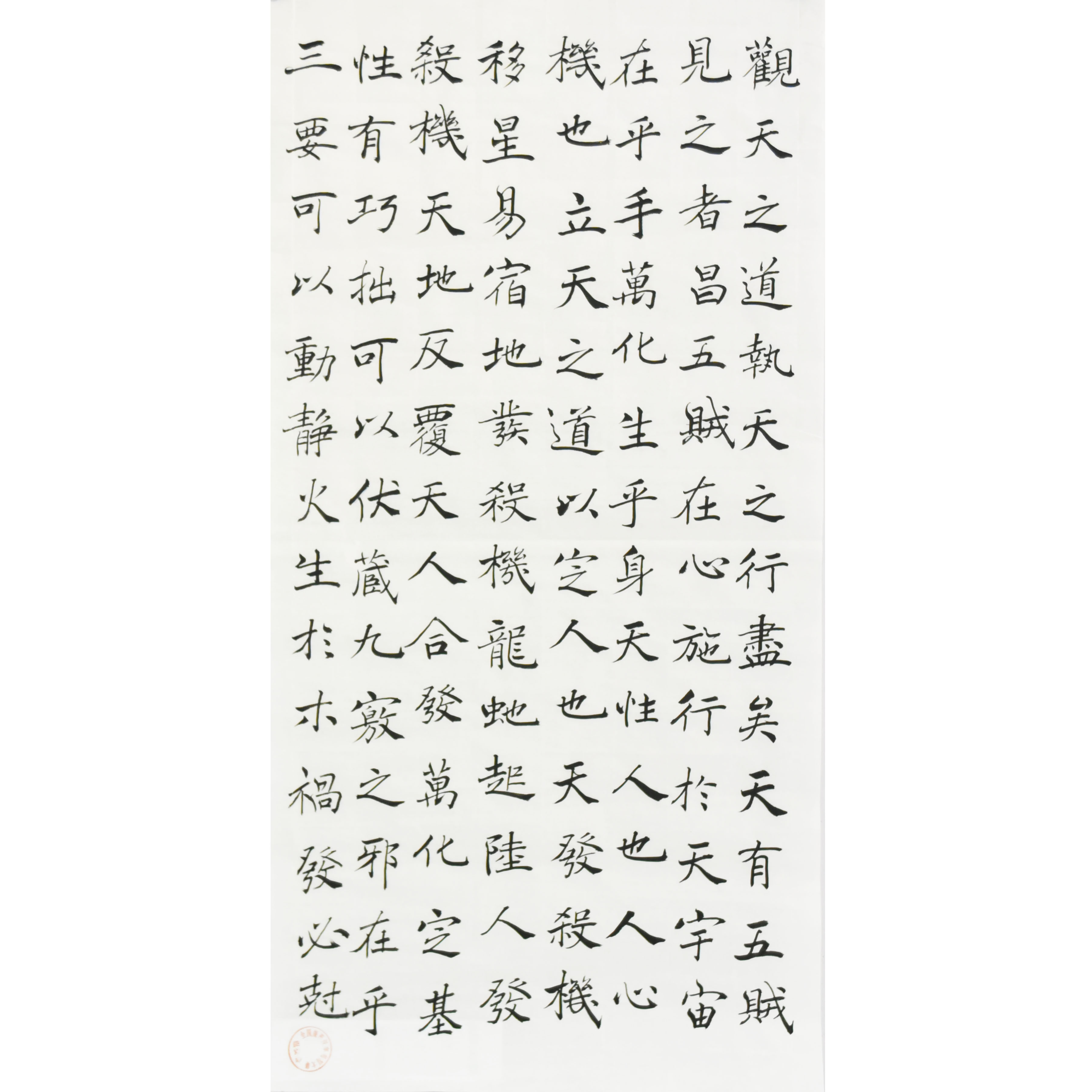 姓名：赵伯红