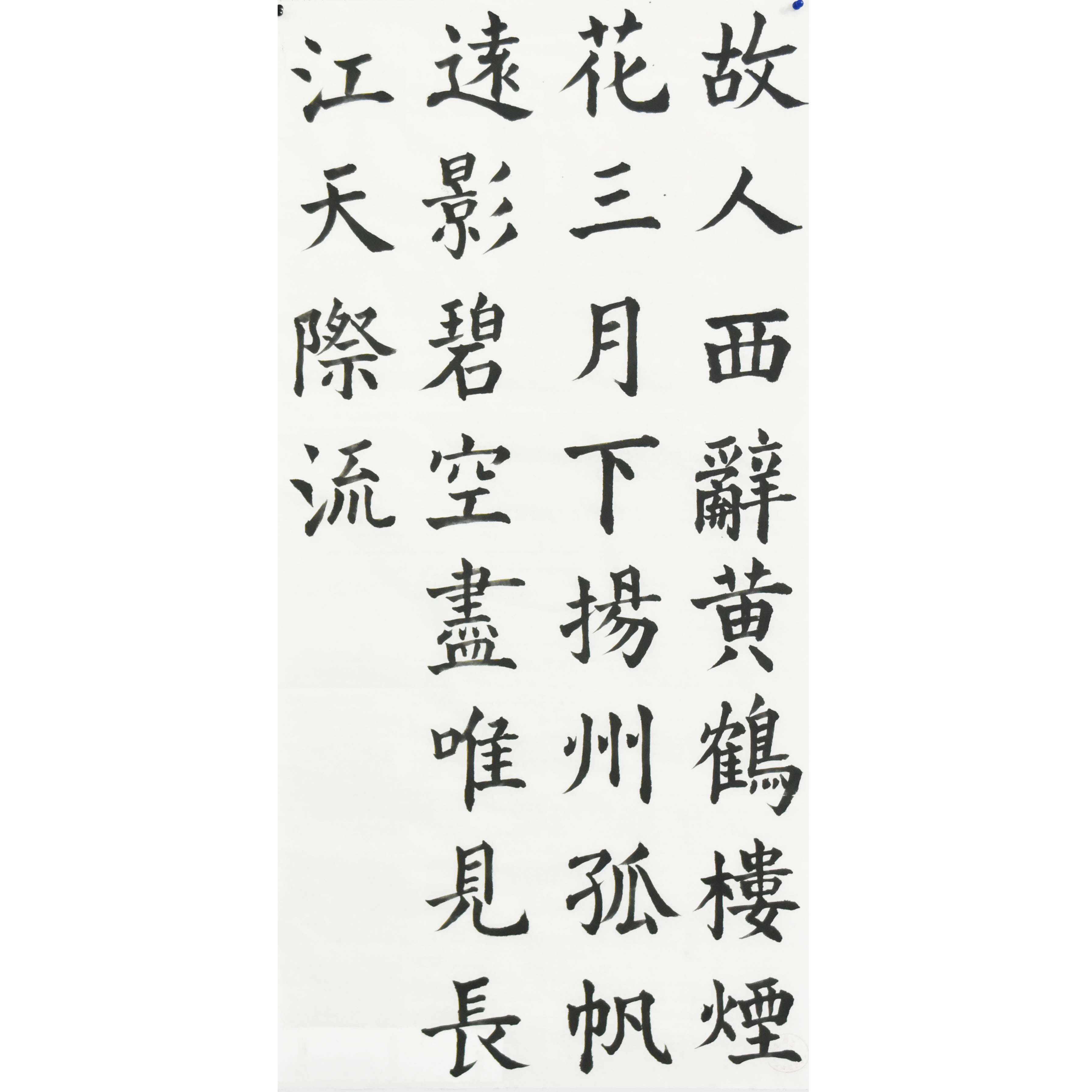 姓名：杨婉婷