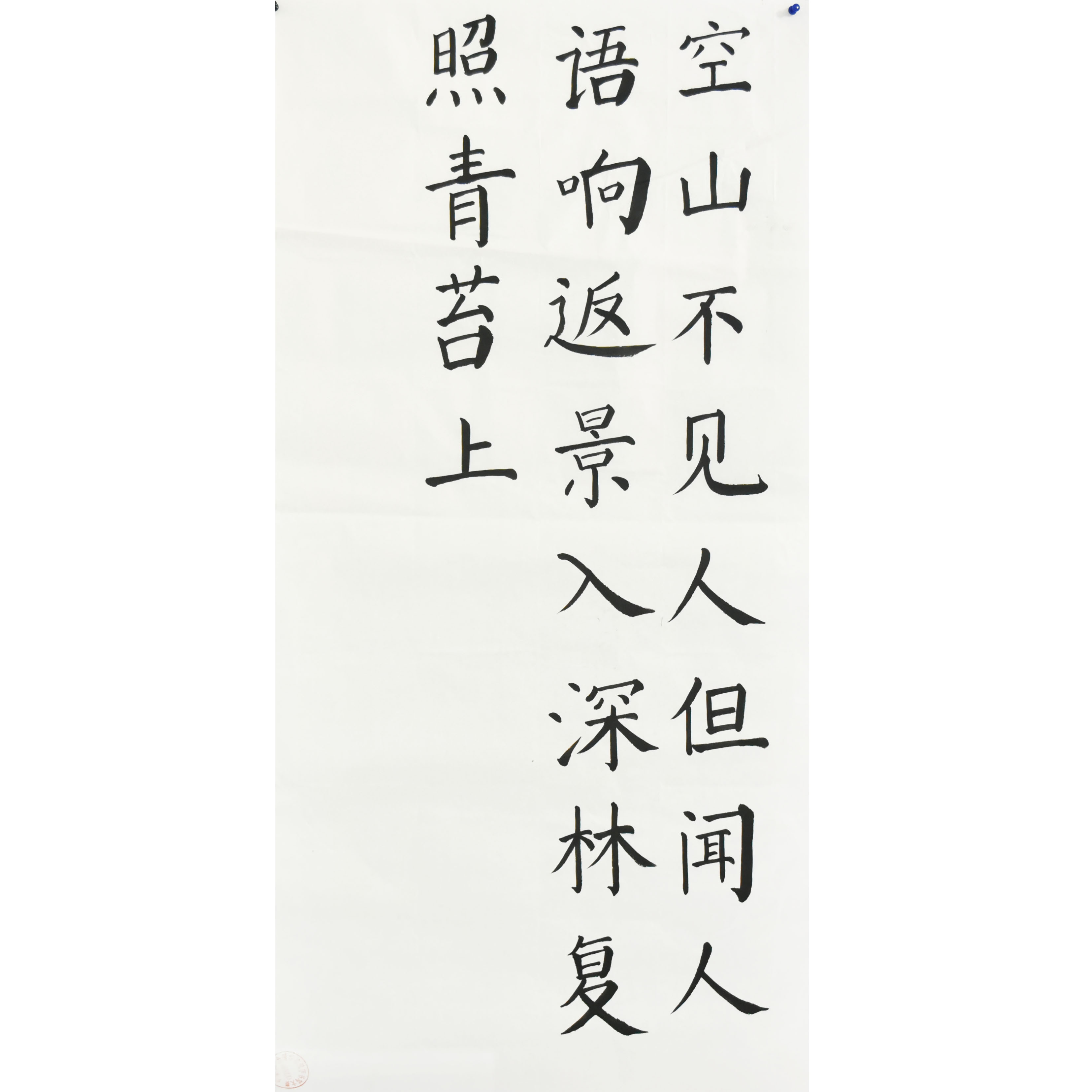 姓名：朱香璇