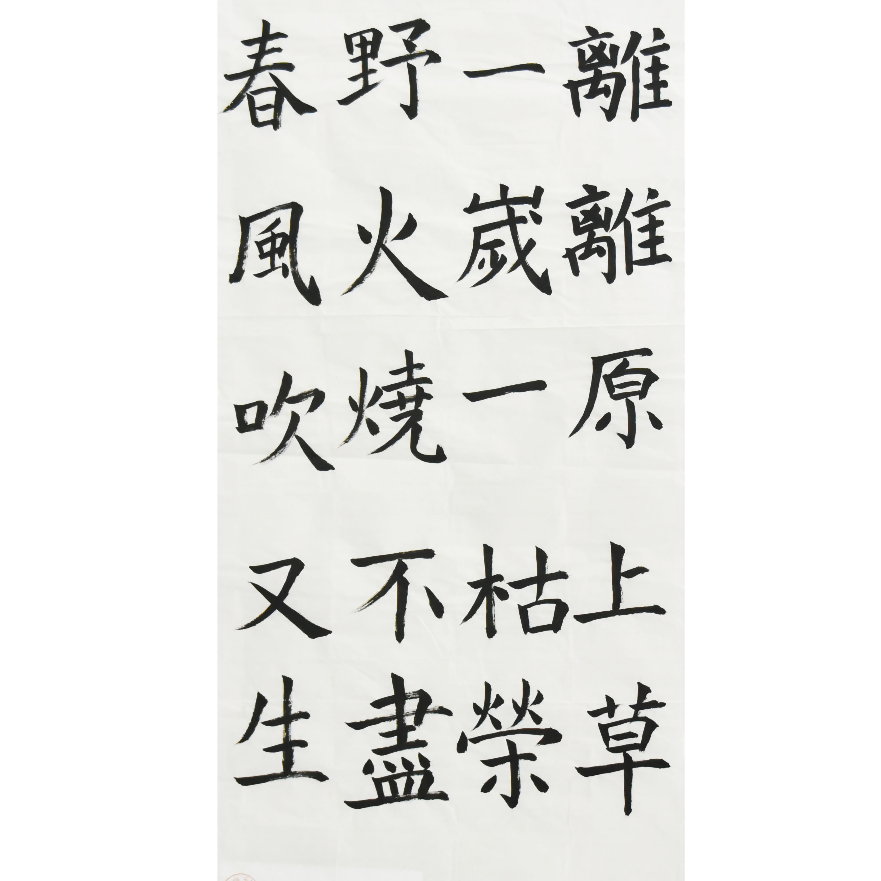 姓名：尤楚乔