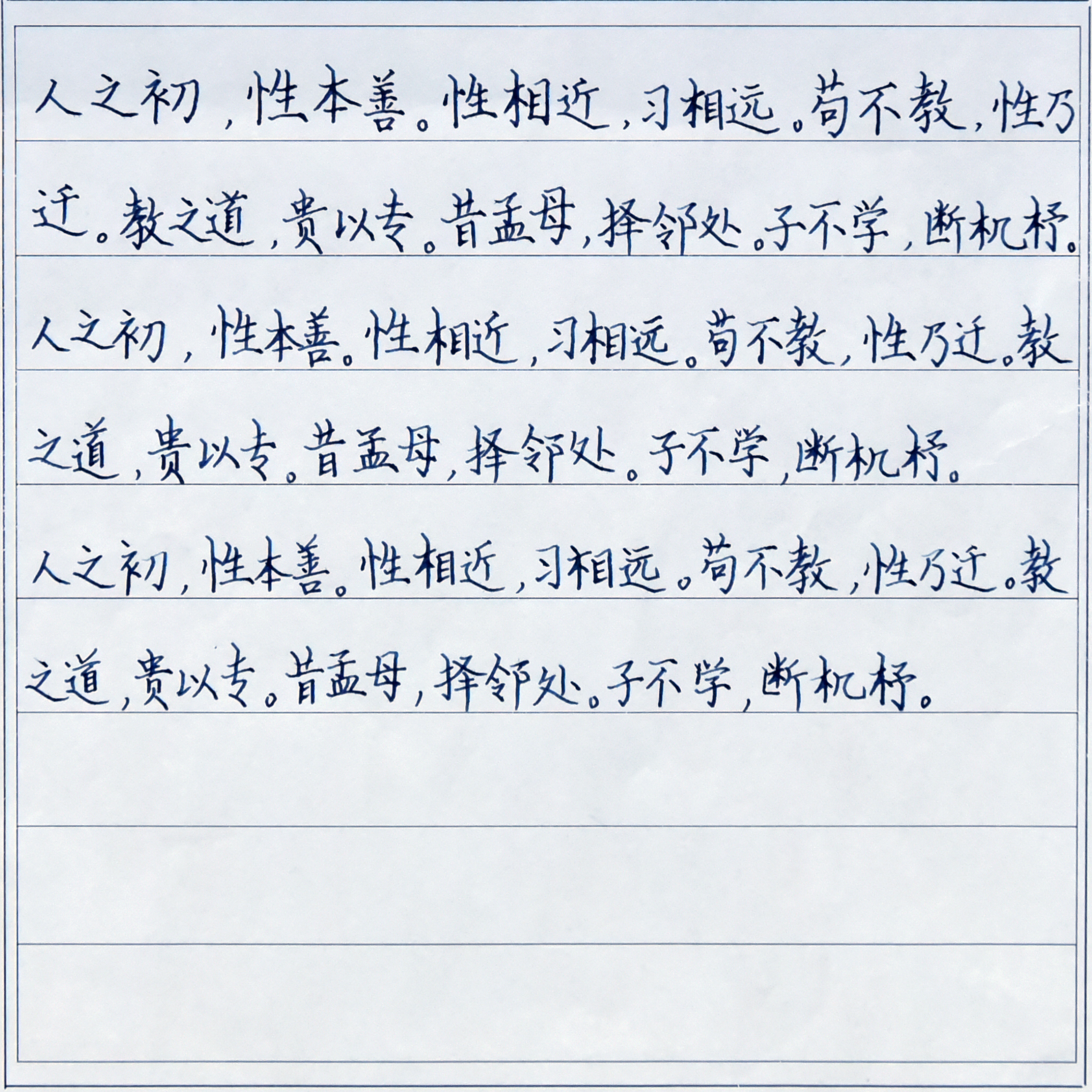 姓名：赵子奇