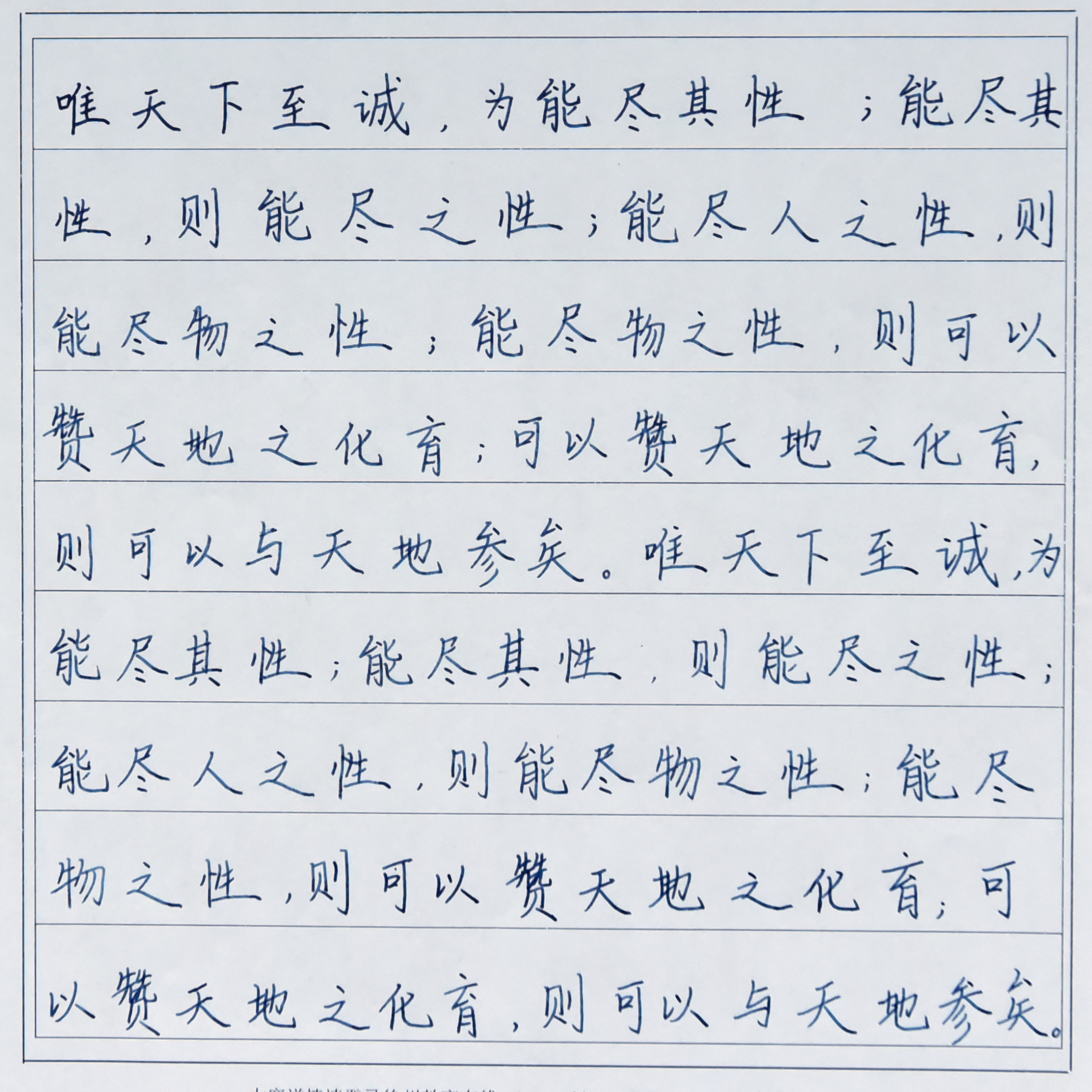 姓名：柴欣杏