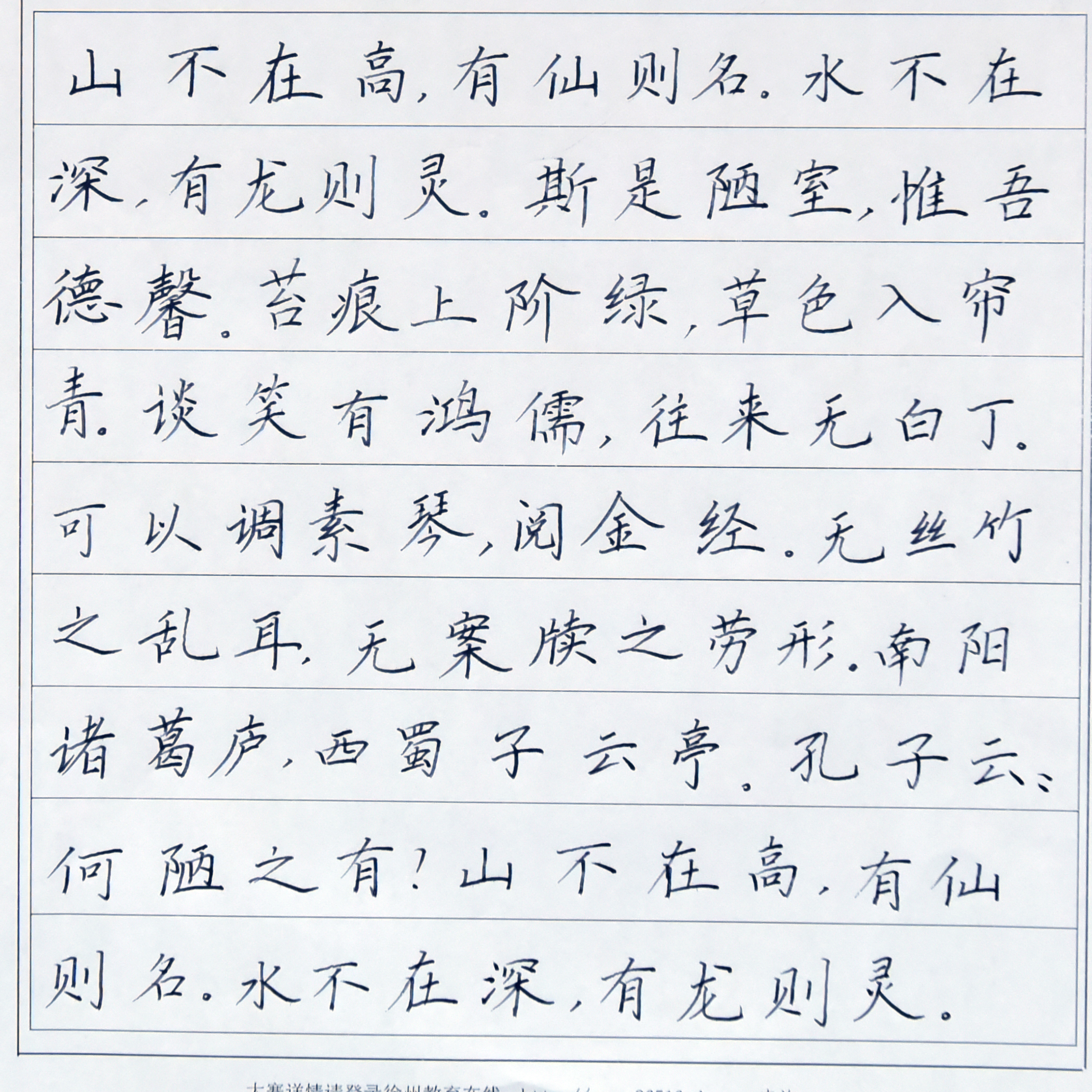 姓名：王玉纯