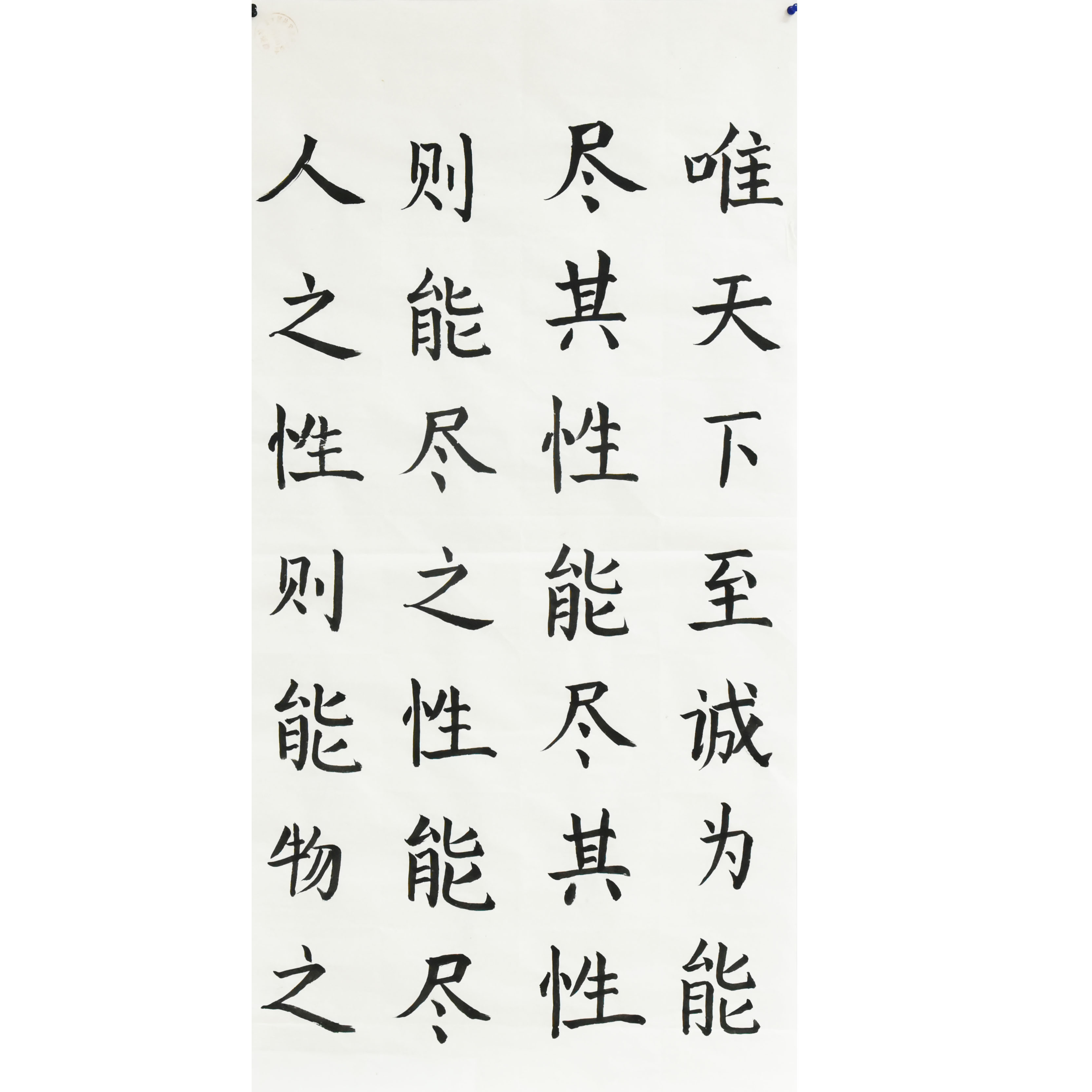 姓名：王雪雪