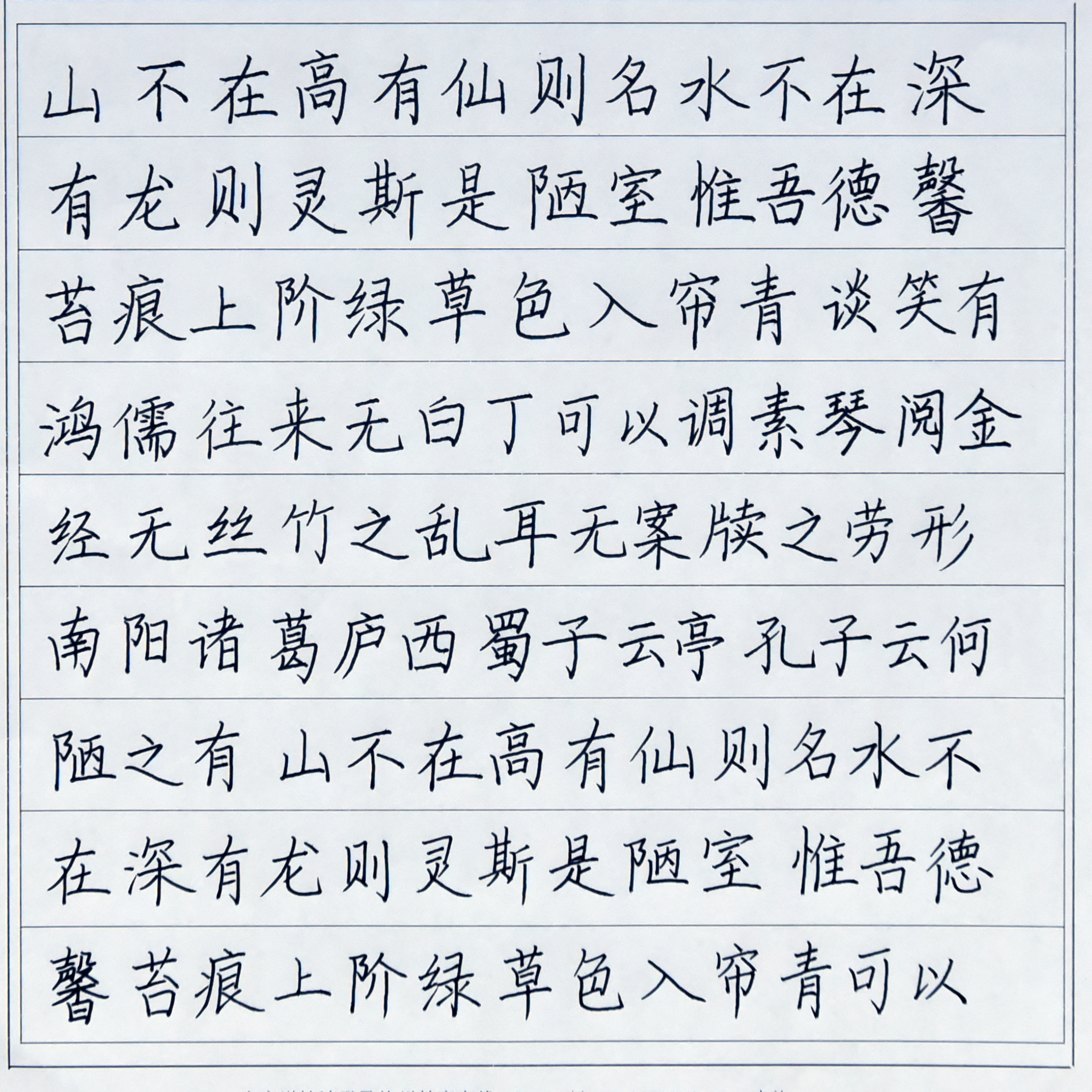 姓名：胡奕彤