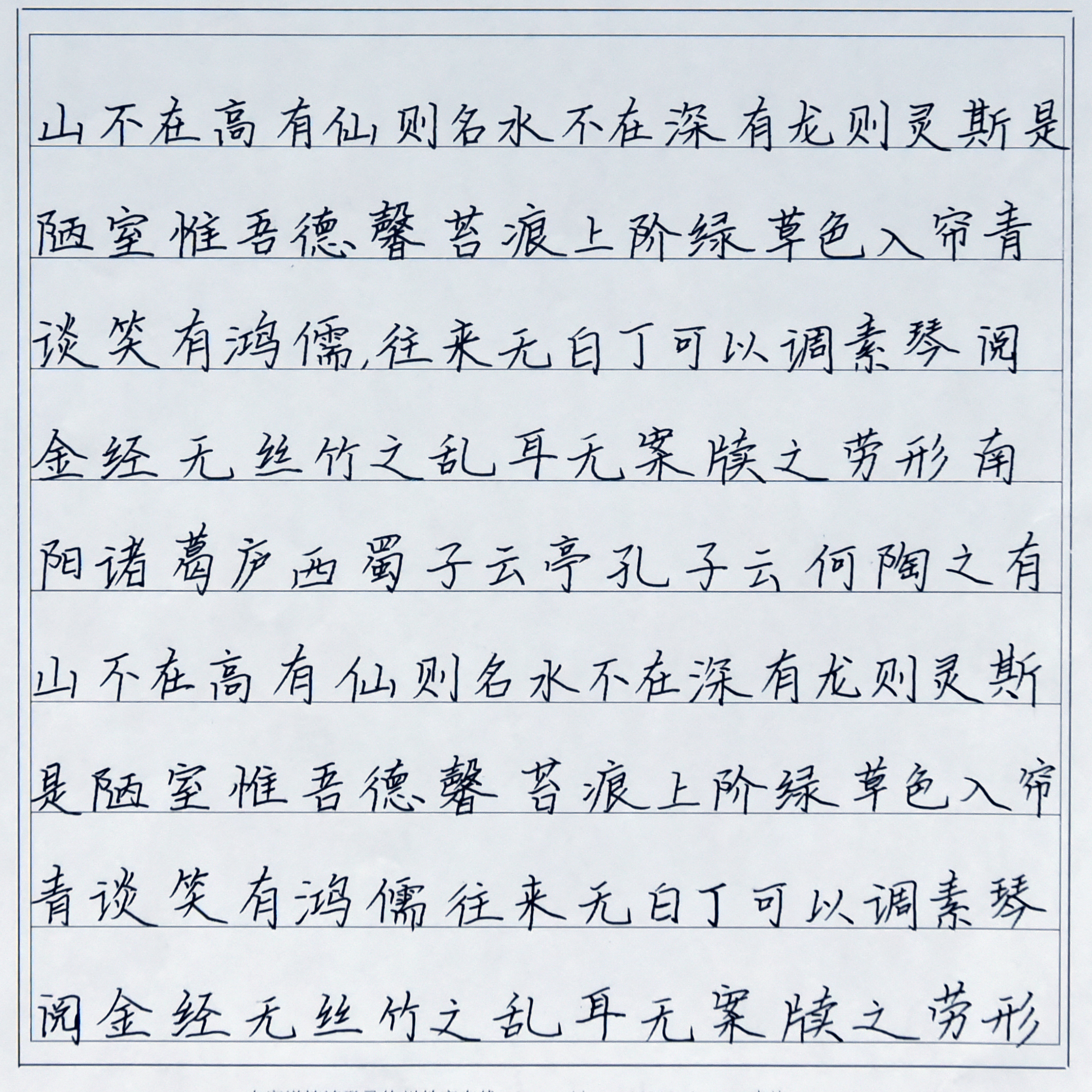 姓名：马圆圆