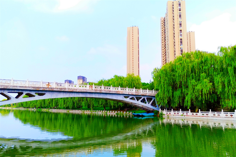 丁万河公园：只此青绿