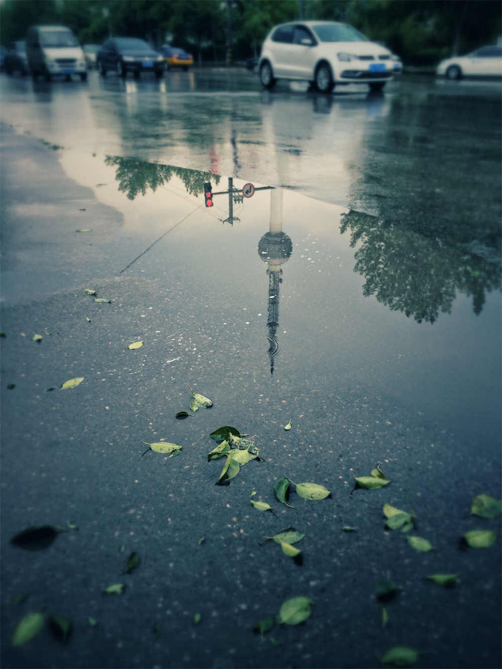 秋雨过后