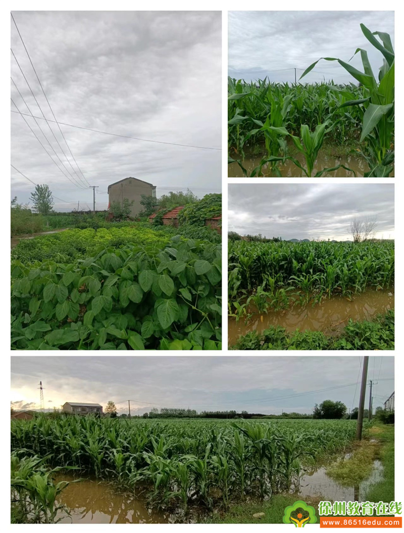 家乡雨水变化