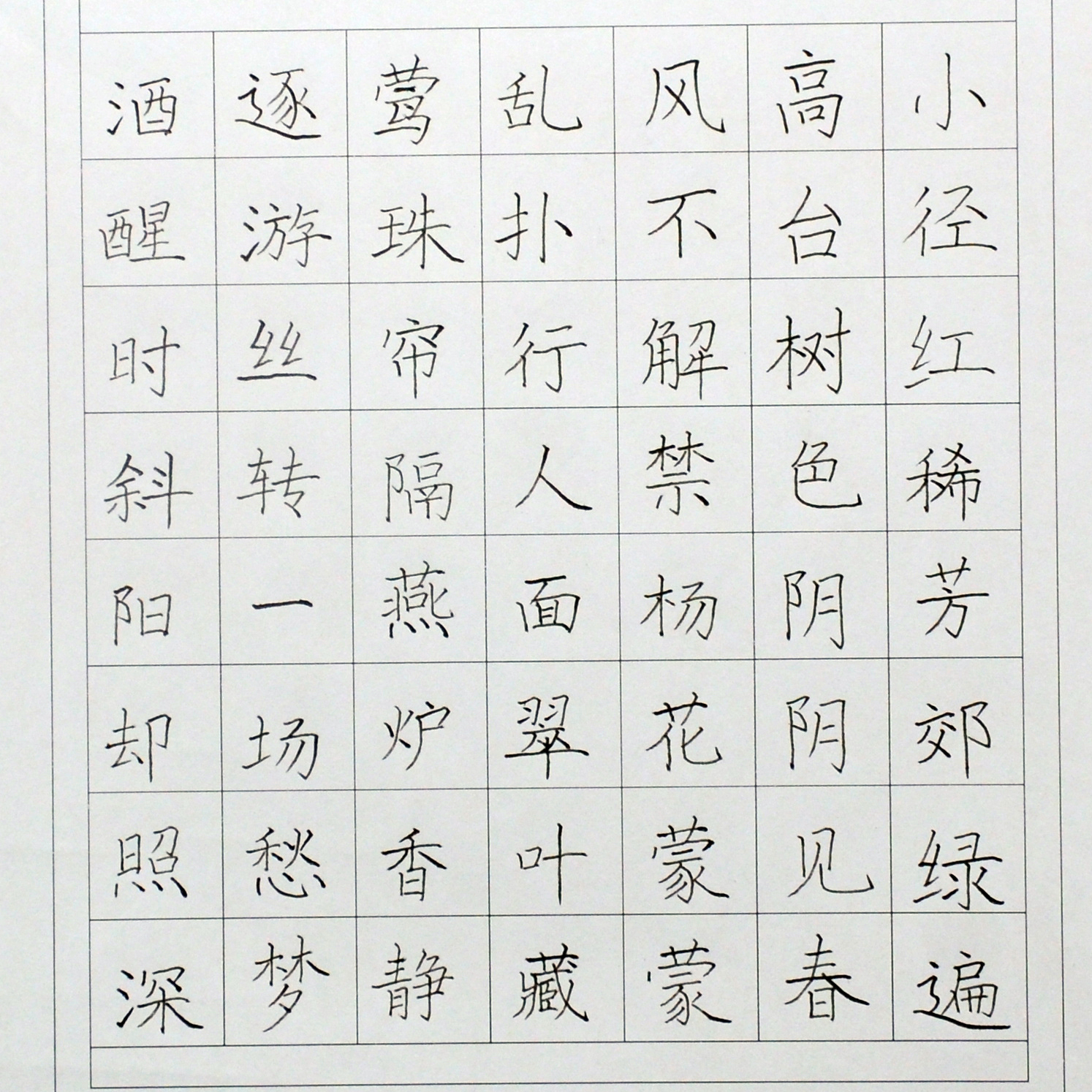 姓名：李欣柔