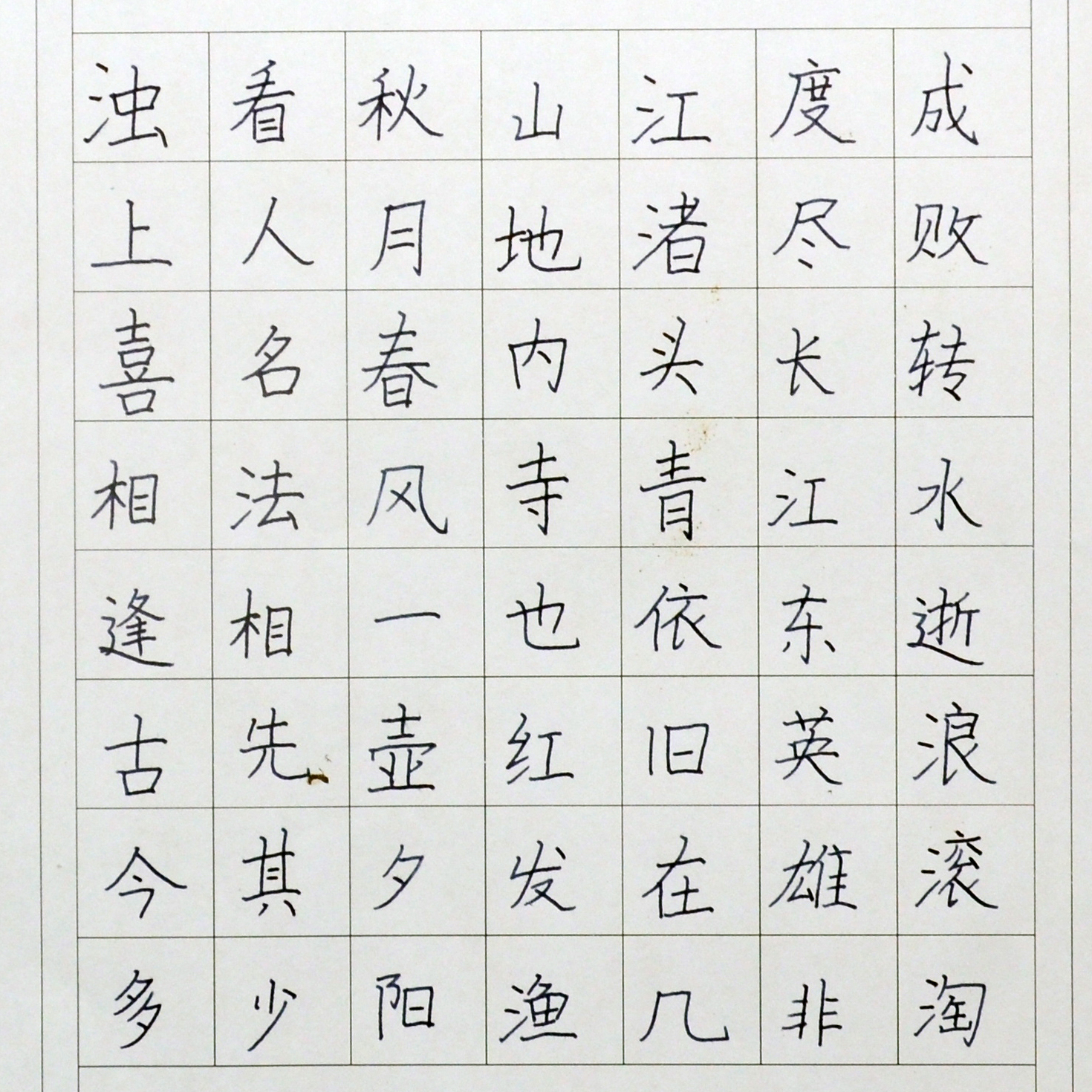 姓名：杨景淇