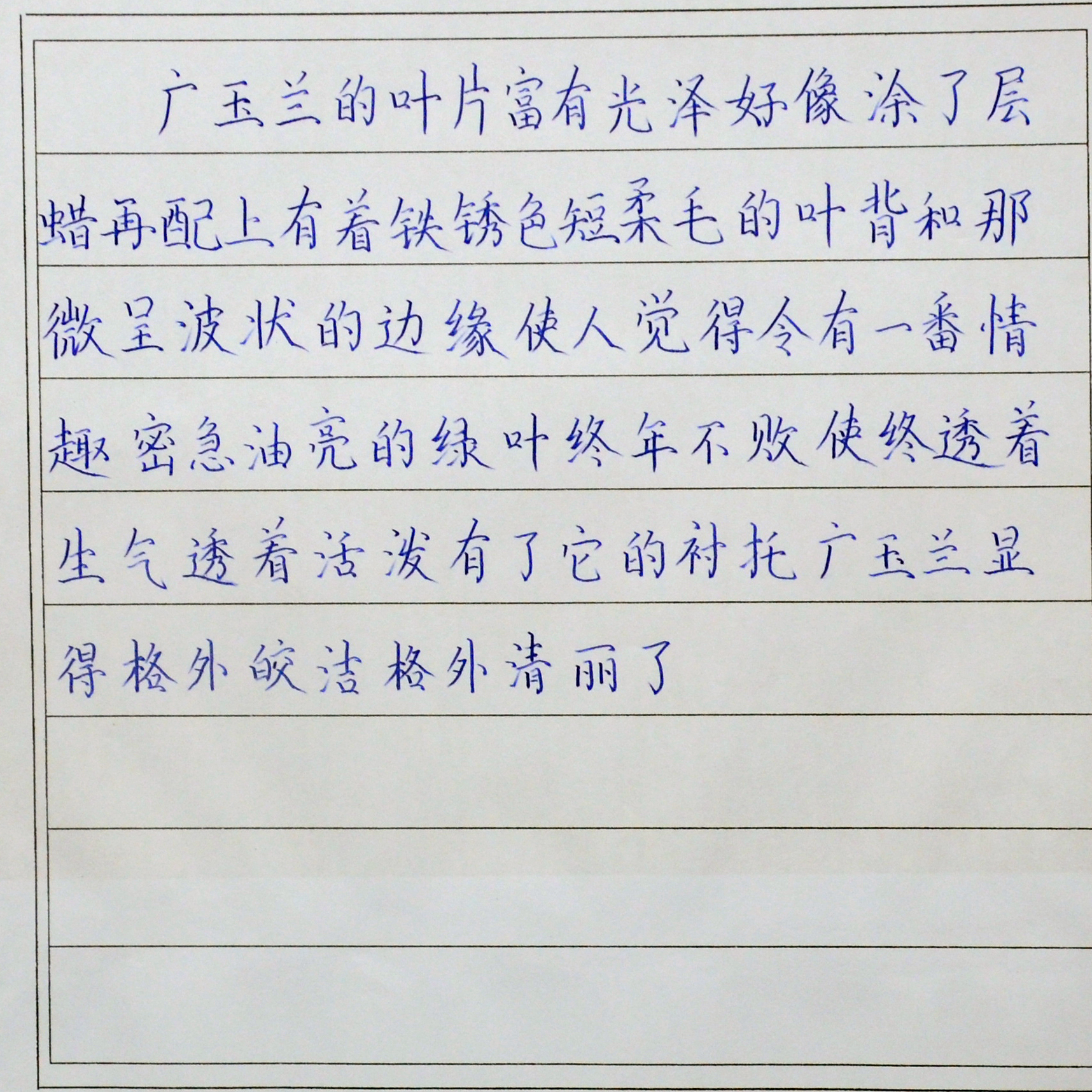 姓名：刘茜茜