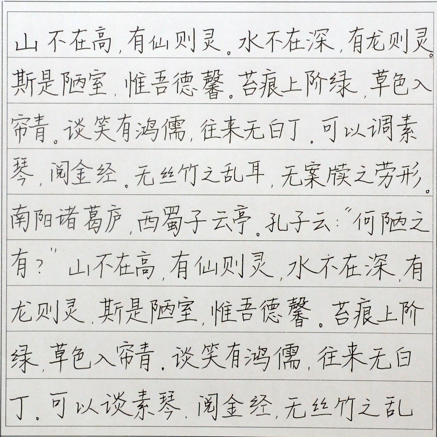 姓名：何雅雯