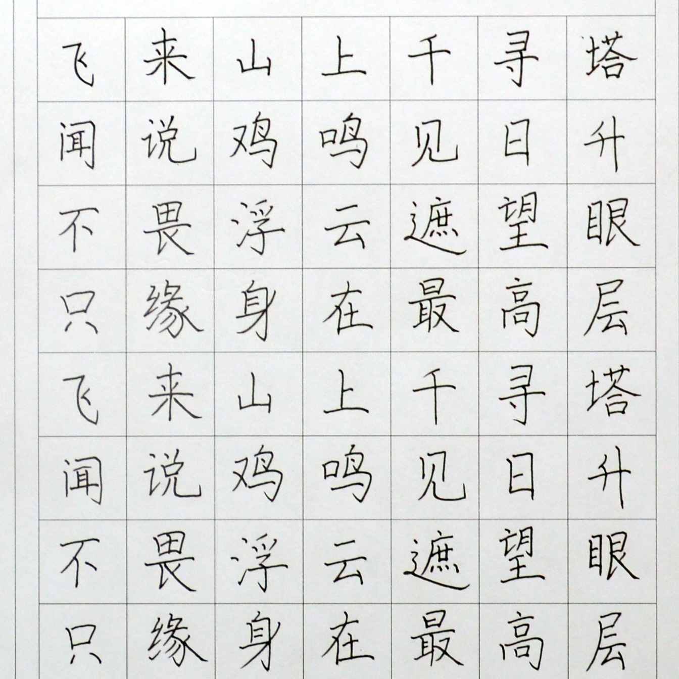 姓名：赵梦梦
