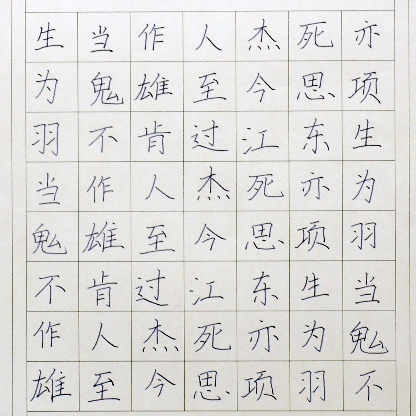姓名：朱芙蒂
