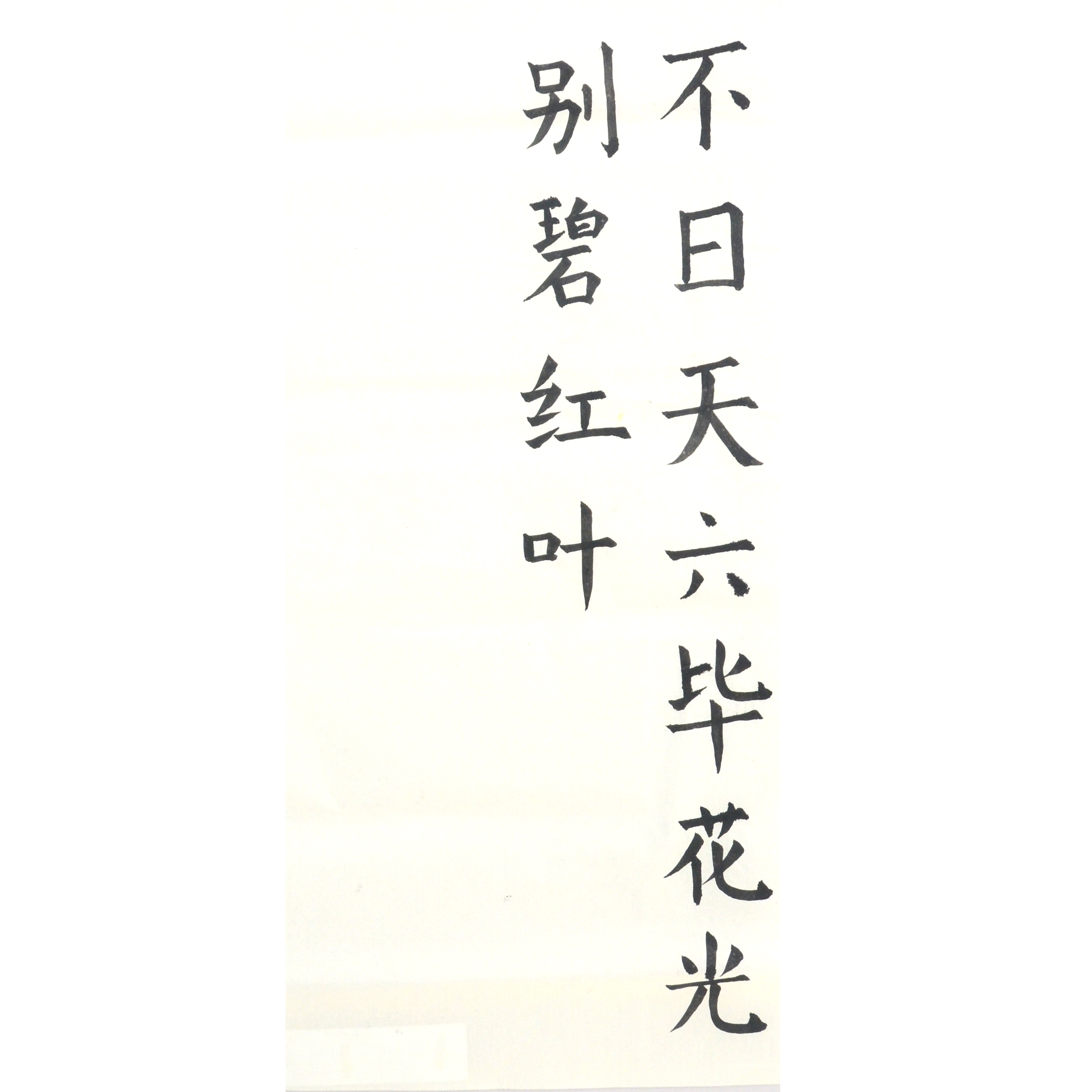 姓名：王薇淇