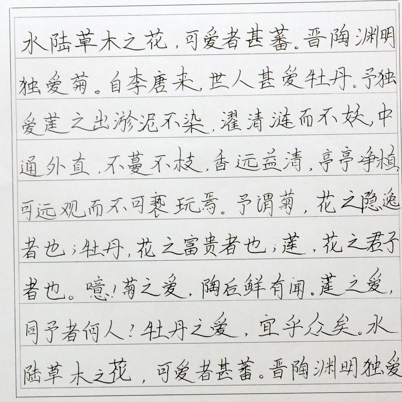 姓名：梁莲