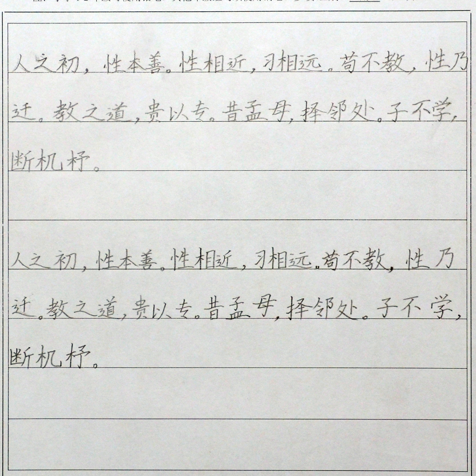 姓名：王子文