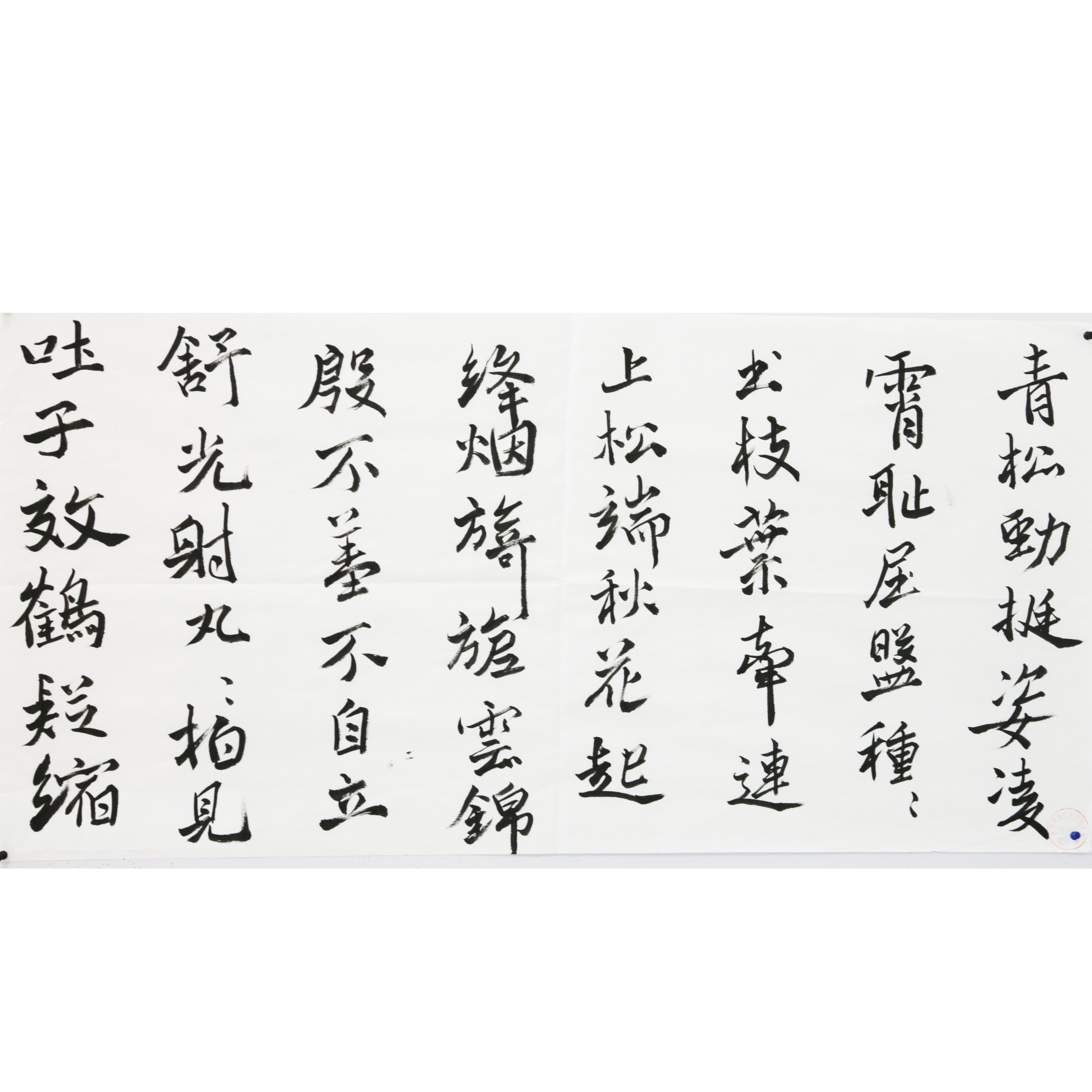 姓名：陈冠儒