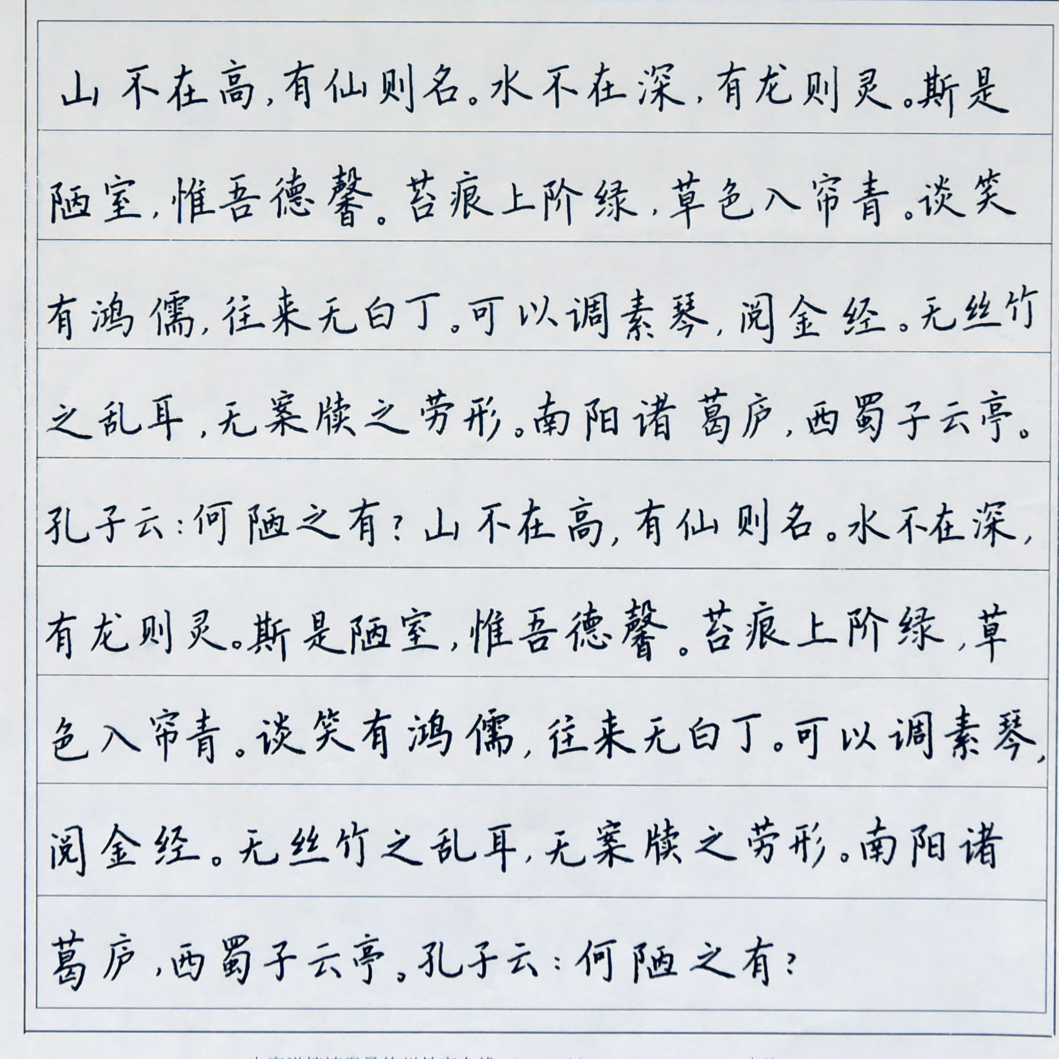 姓名：吴苑