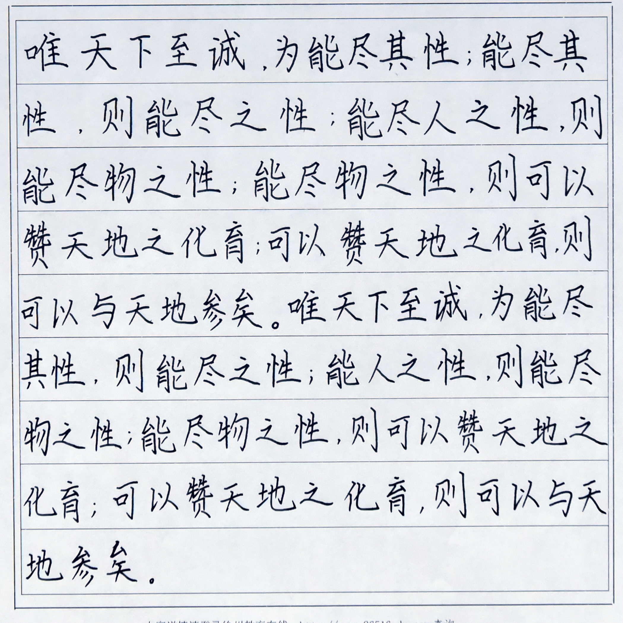 姓名：闫玥璇
