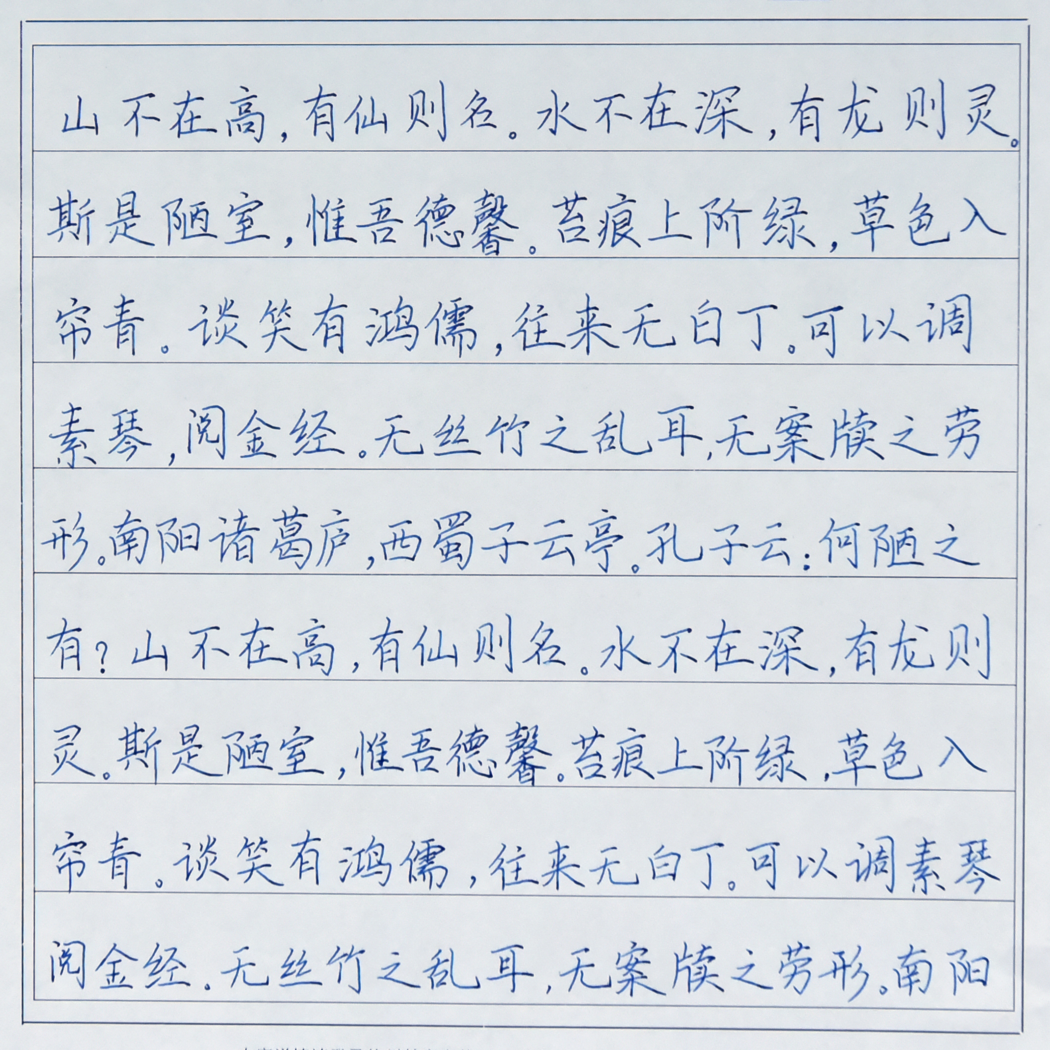 姓名：秦乐